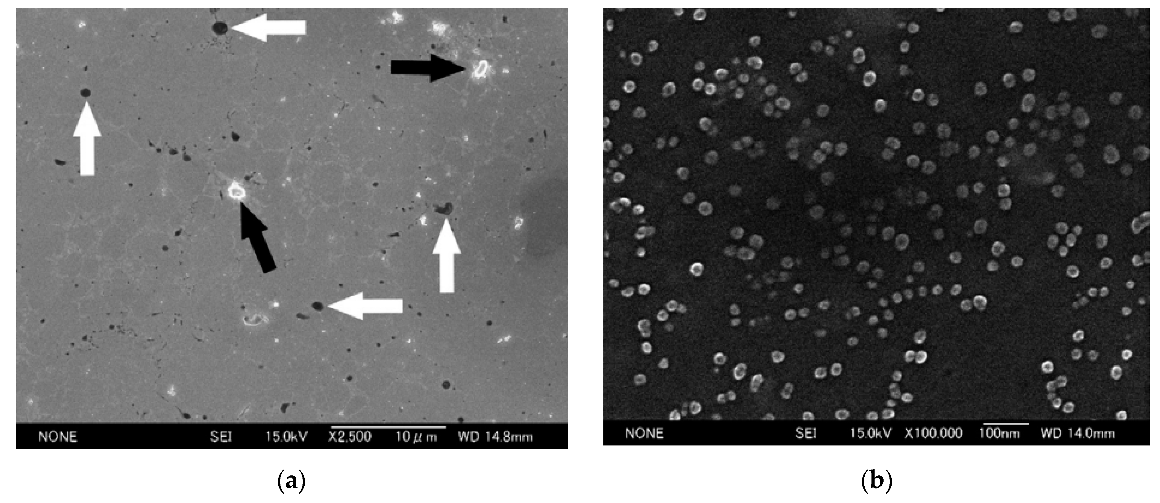 Metals 11 00616 g009