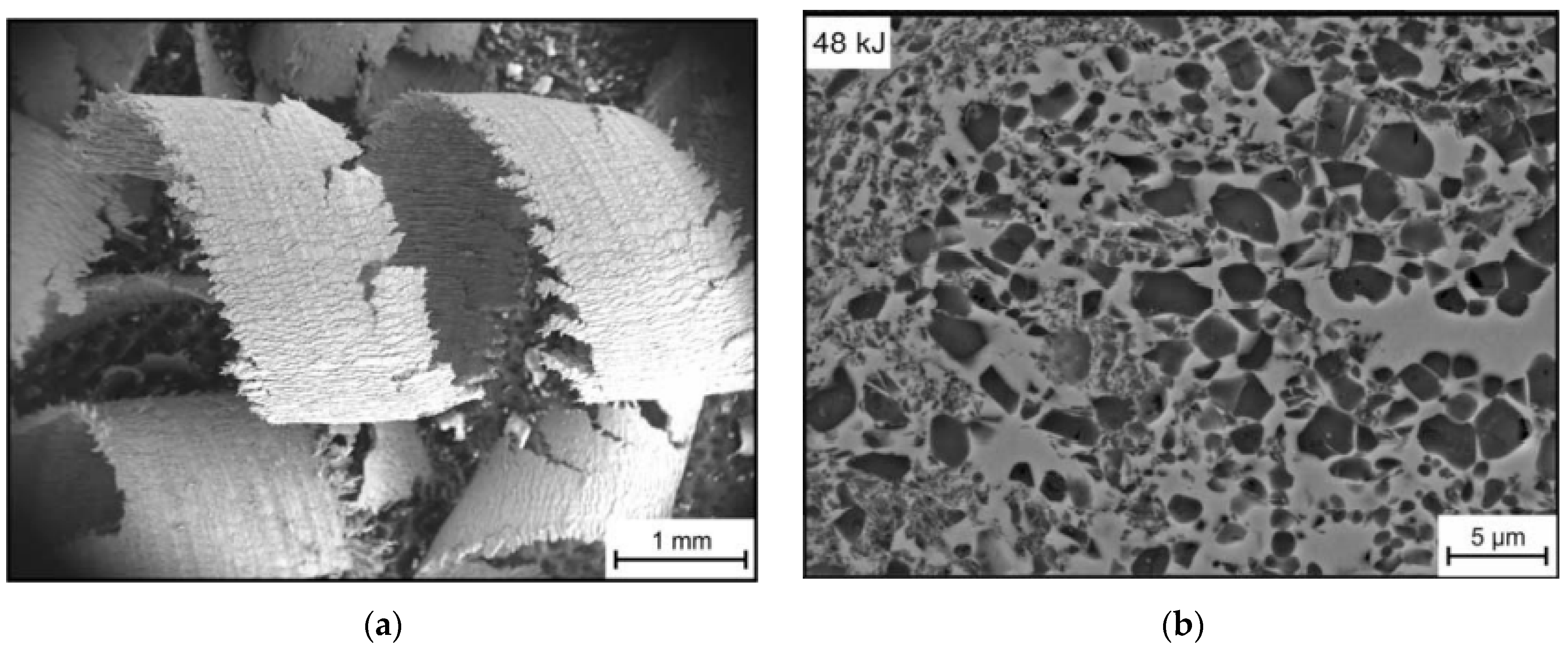 Metals 11 00616 g010