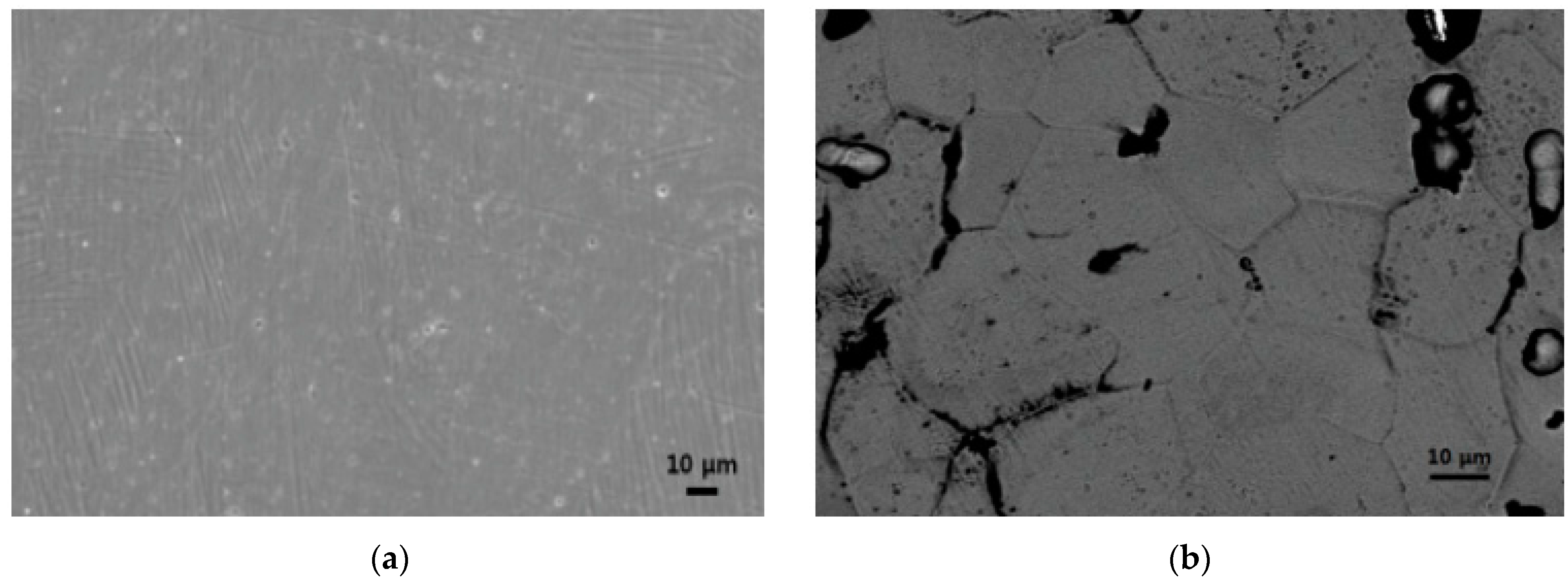 Metals 11 00616 g013