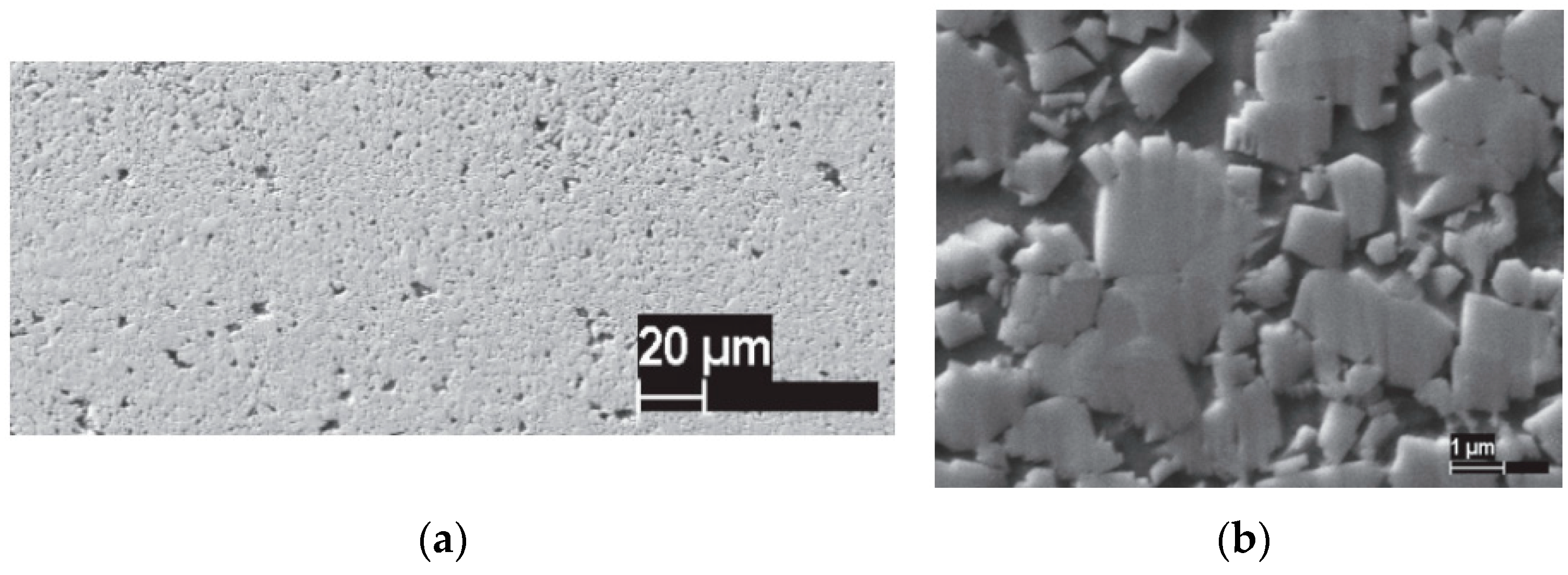 Metals 11 00616 g016