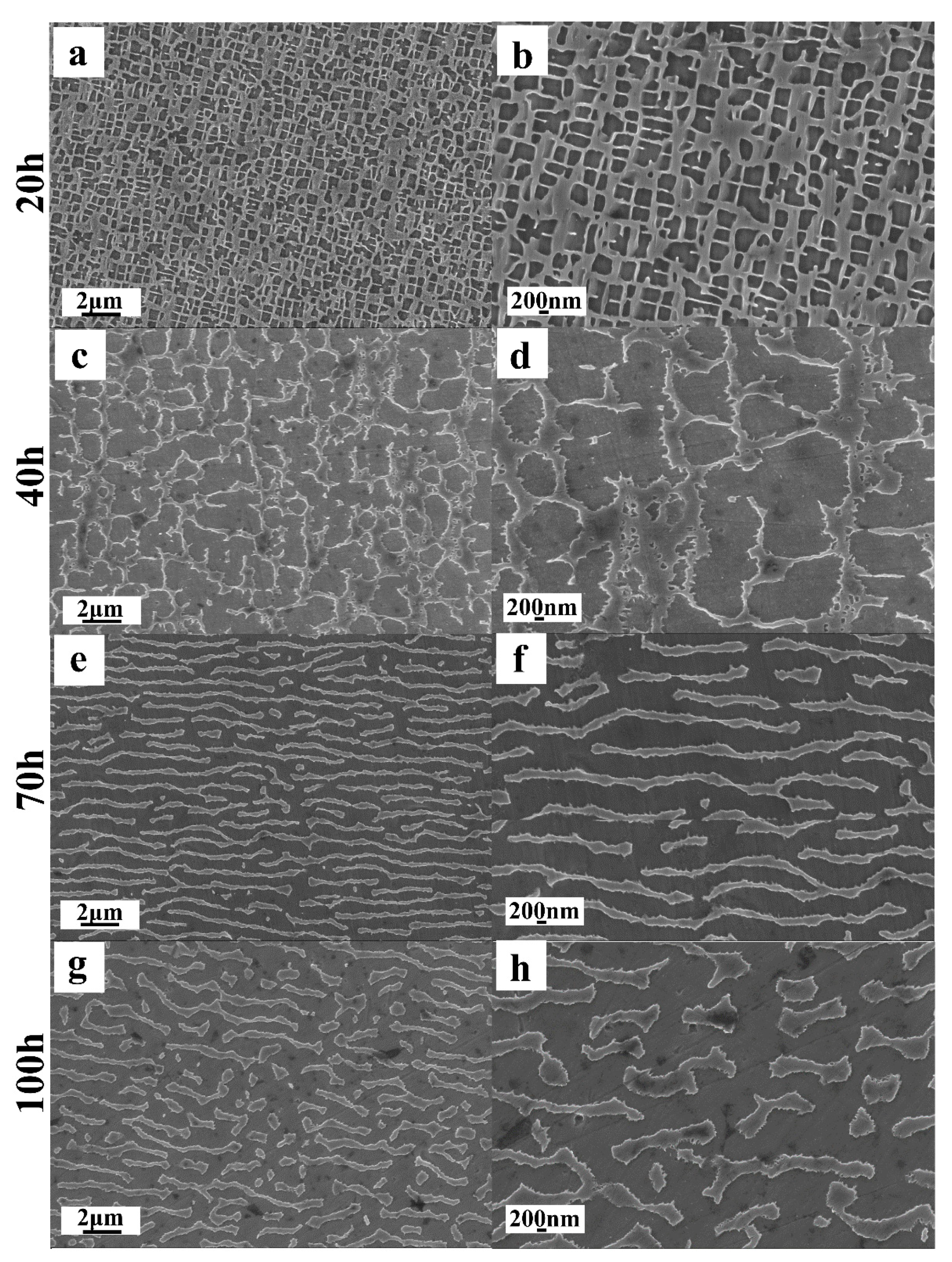 Metals 11 00623 g004