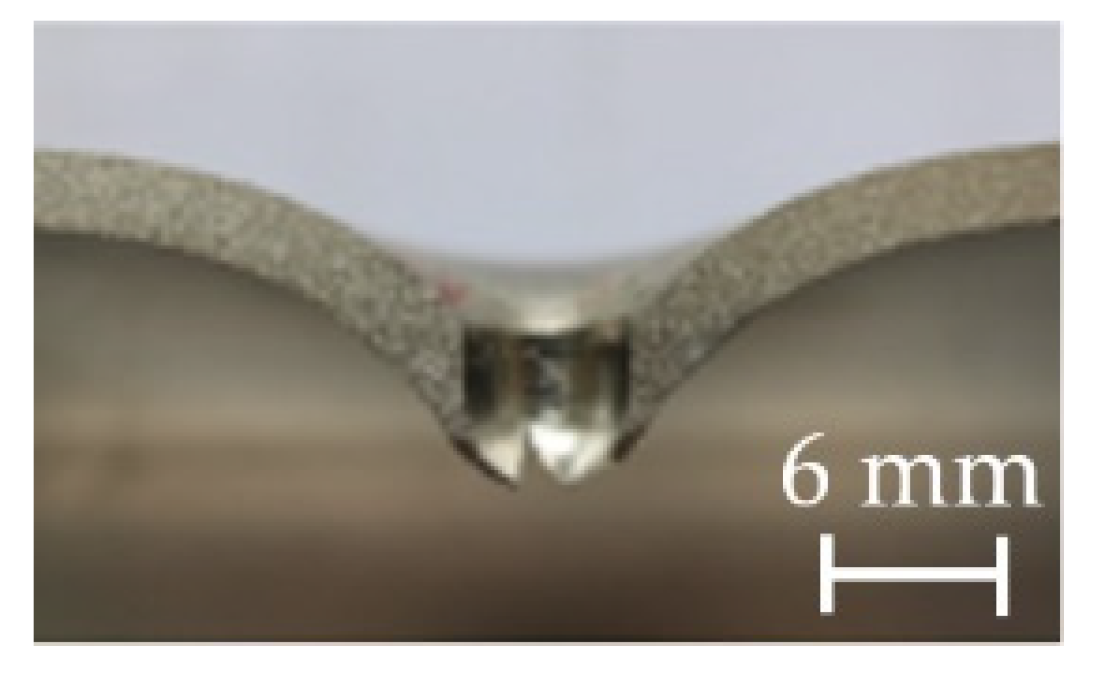 Metals 11 00636 i002