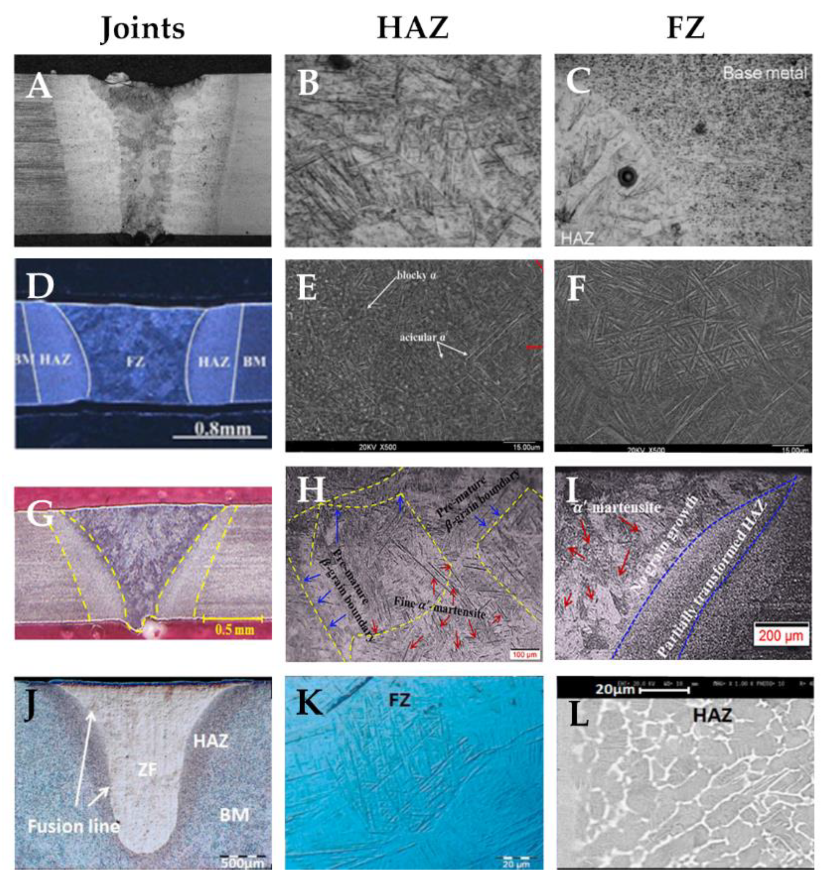 Metals 11 00640 g011