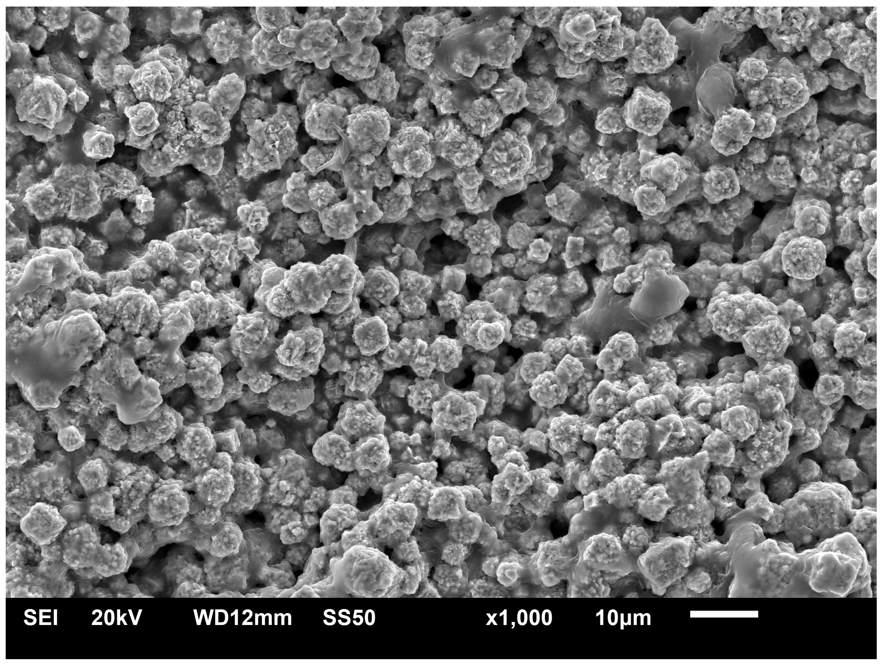 Metals 11 00643 g001