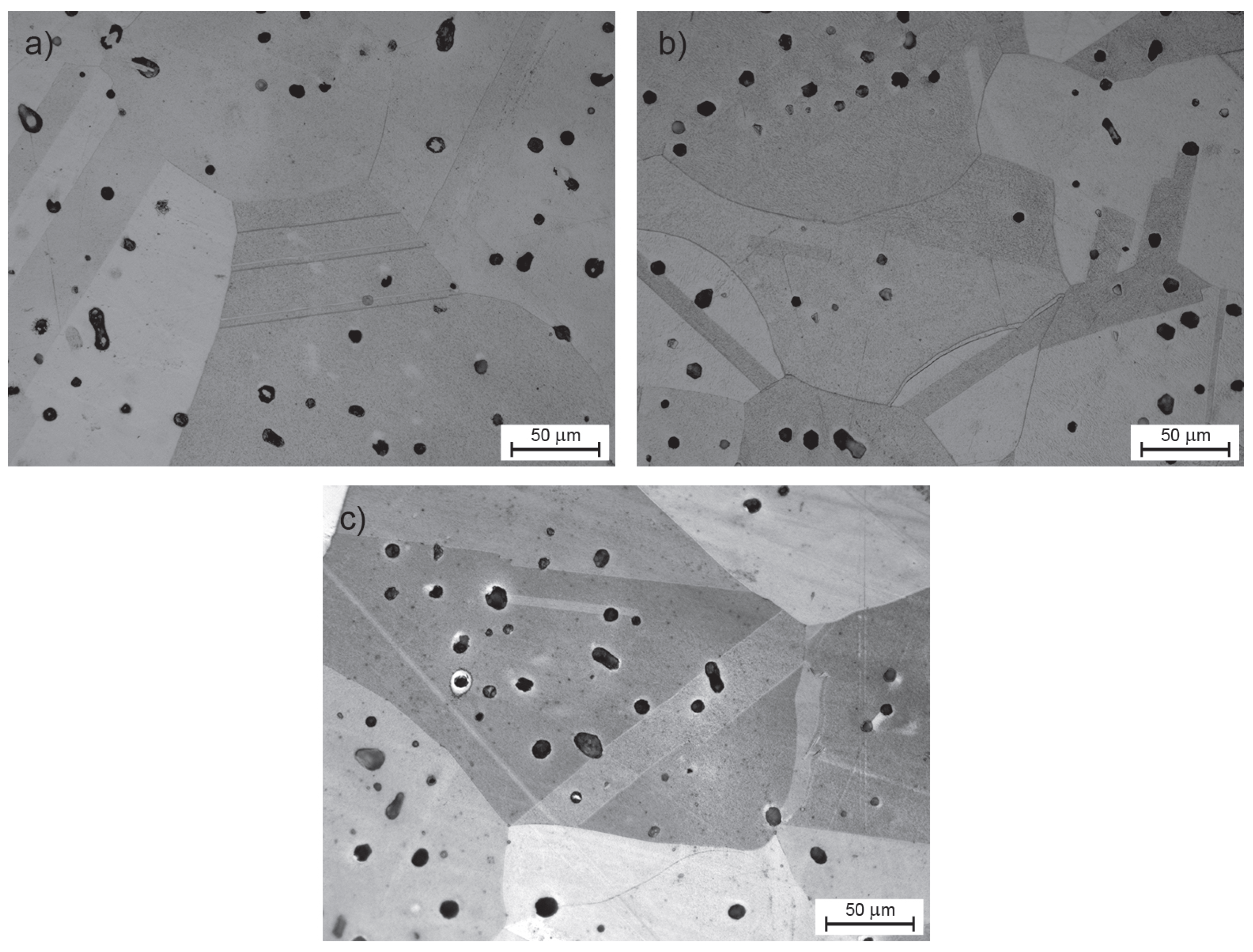 Metals 11 00643 g010