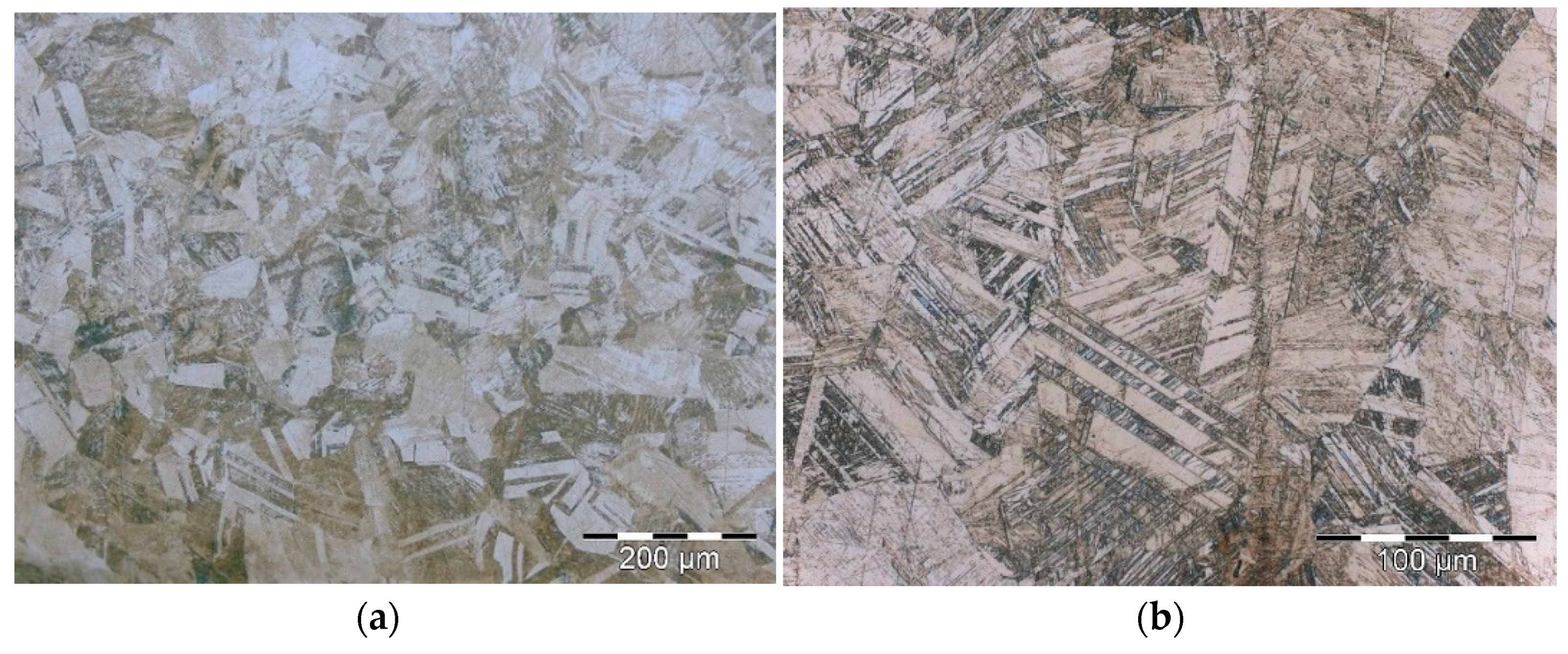 Metals 11 00649 g001