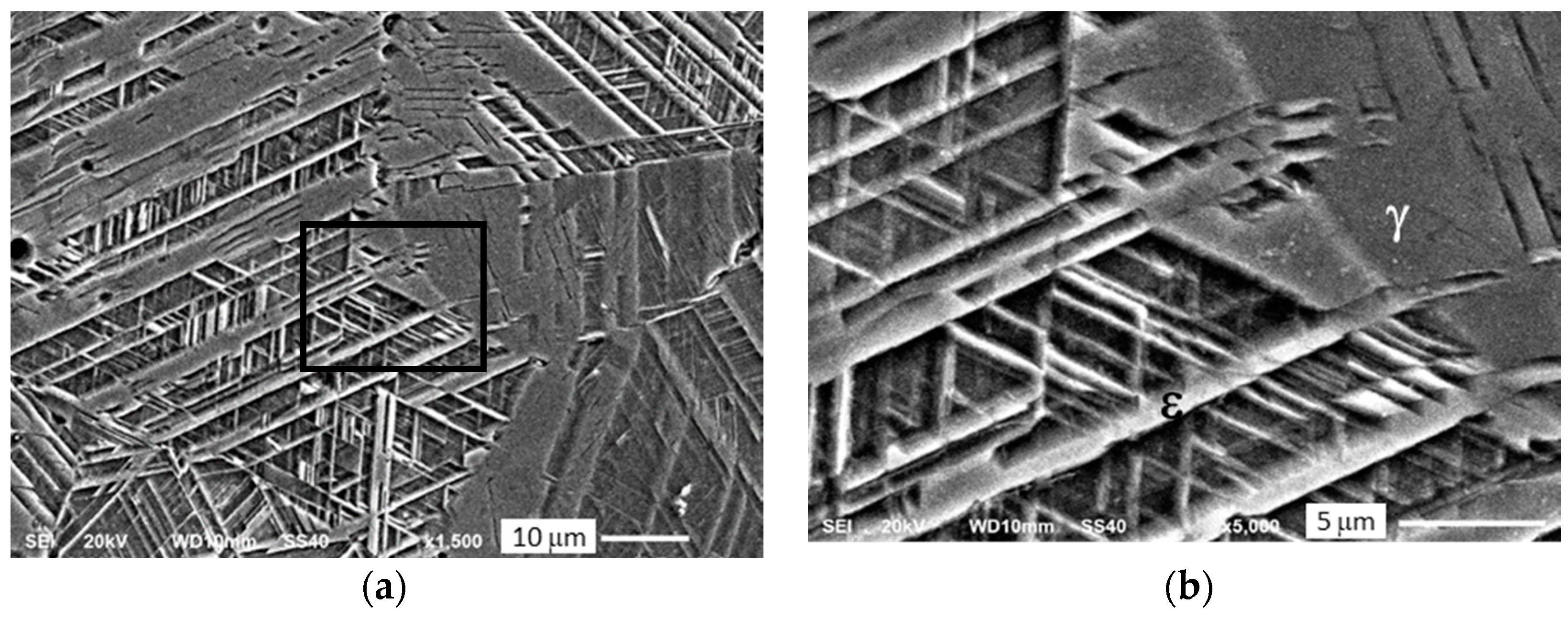 Metals 11 00649 g002