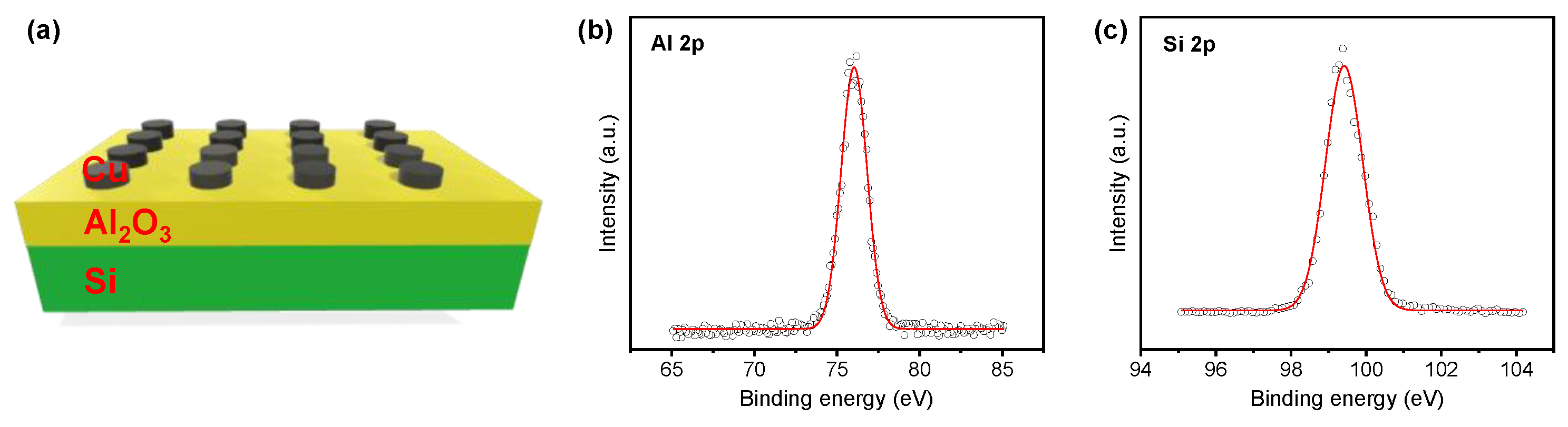 Metals 11 00653 g001