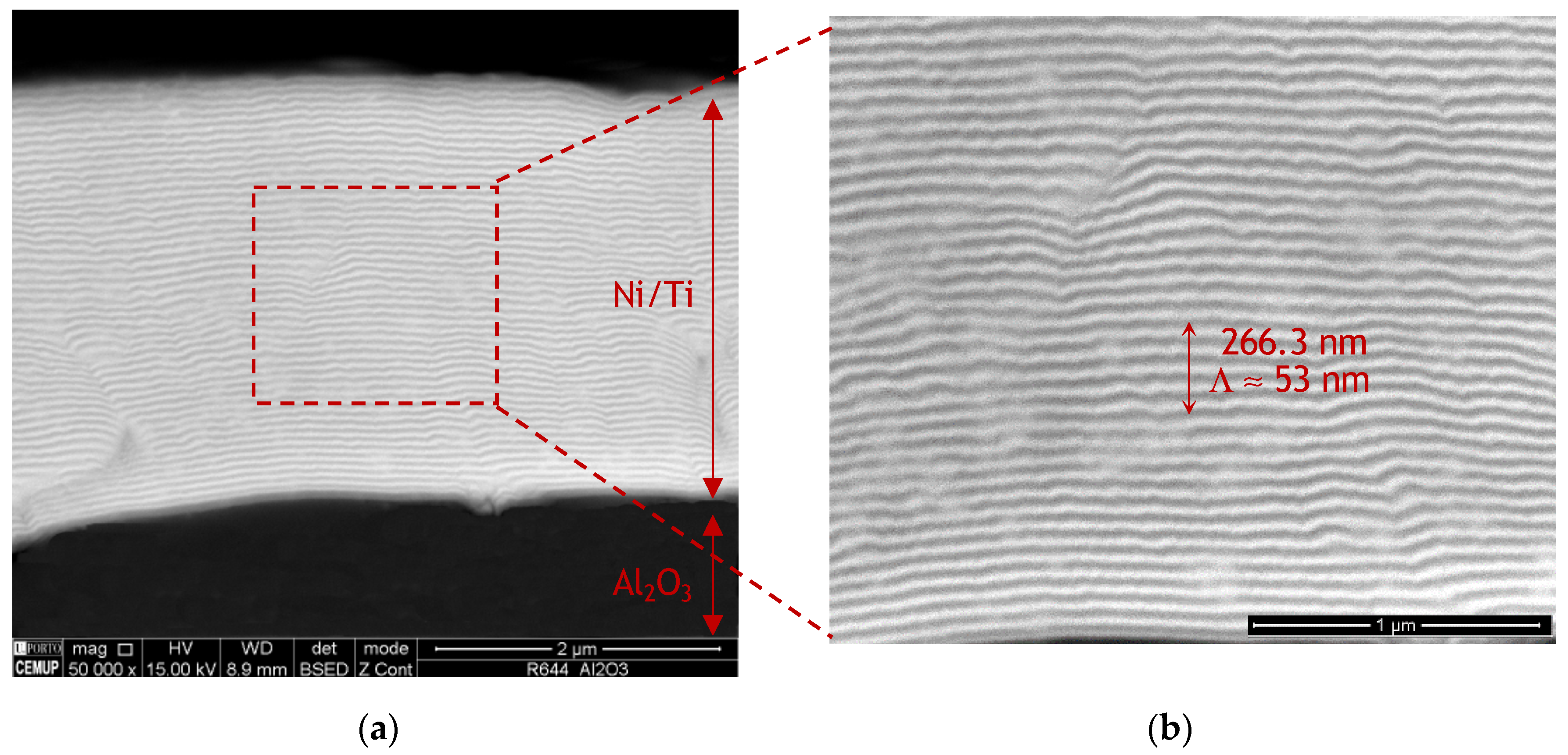 Metals 11 00655 g001