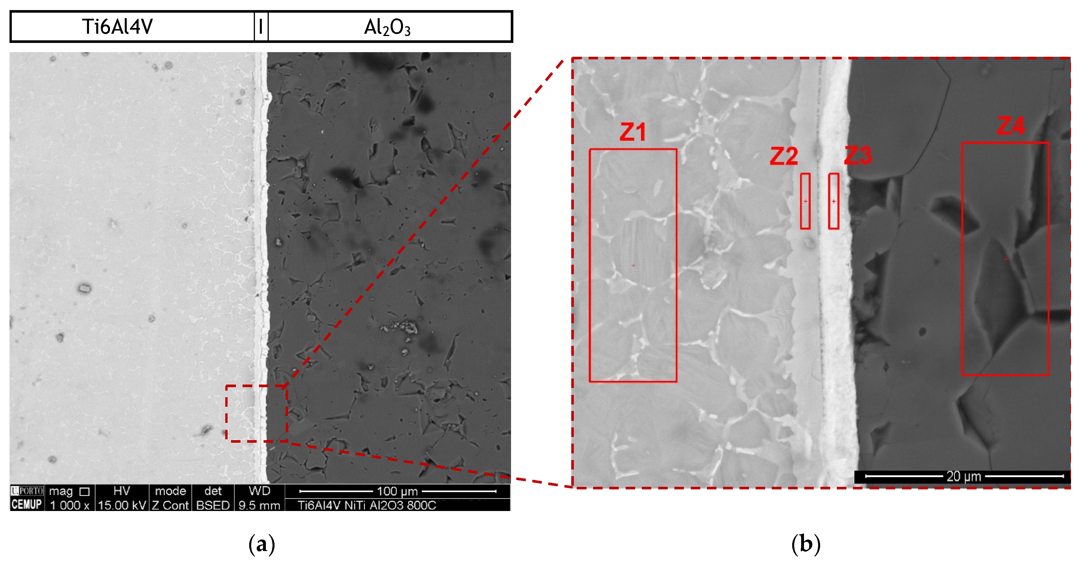 Metals 11 00655 g004