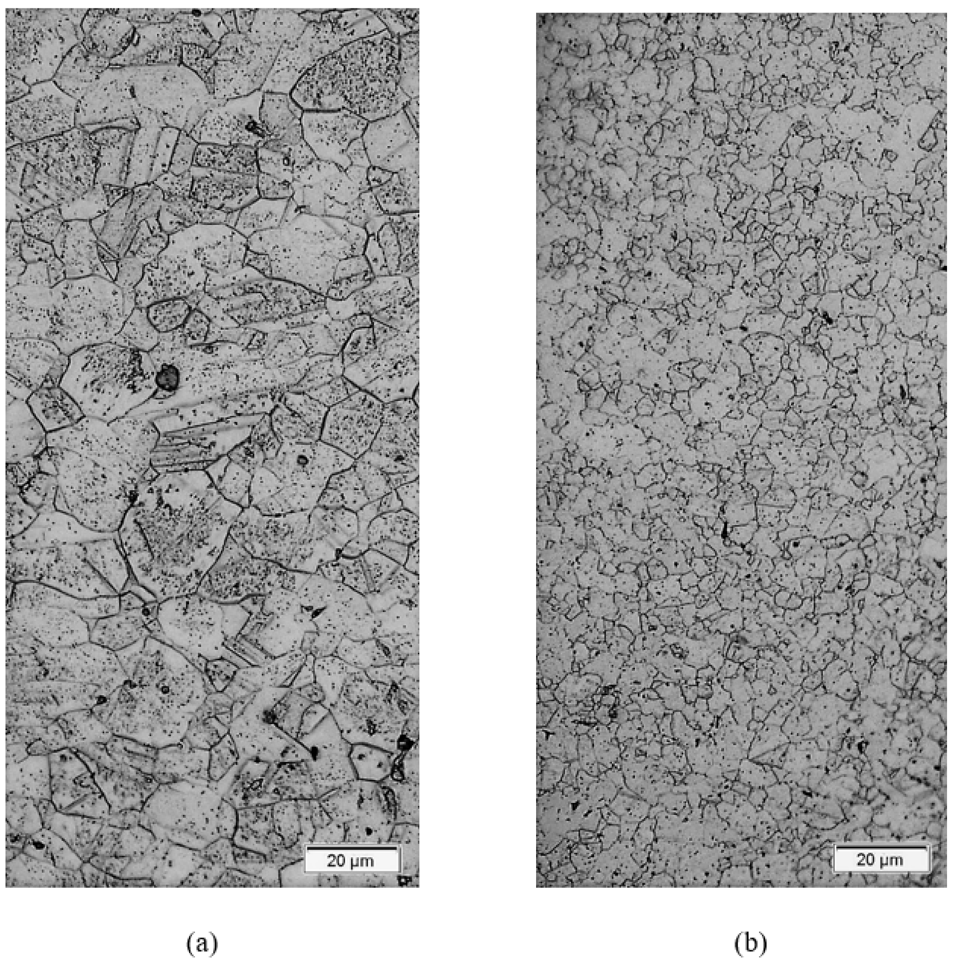 Metals 11 00656 g002