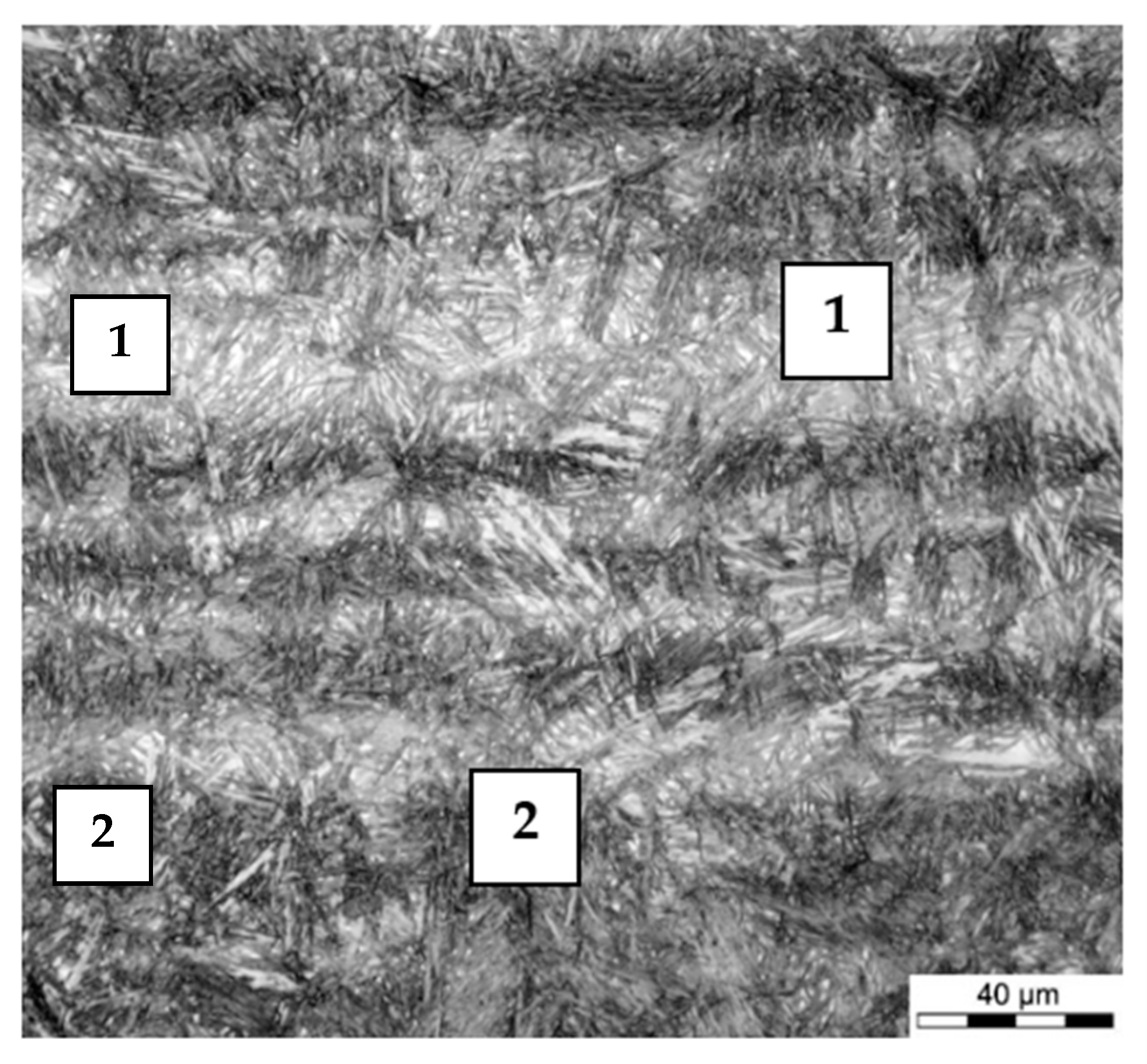 Metals 11 00658 g001