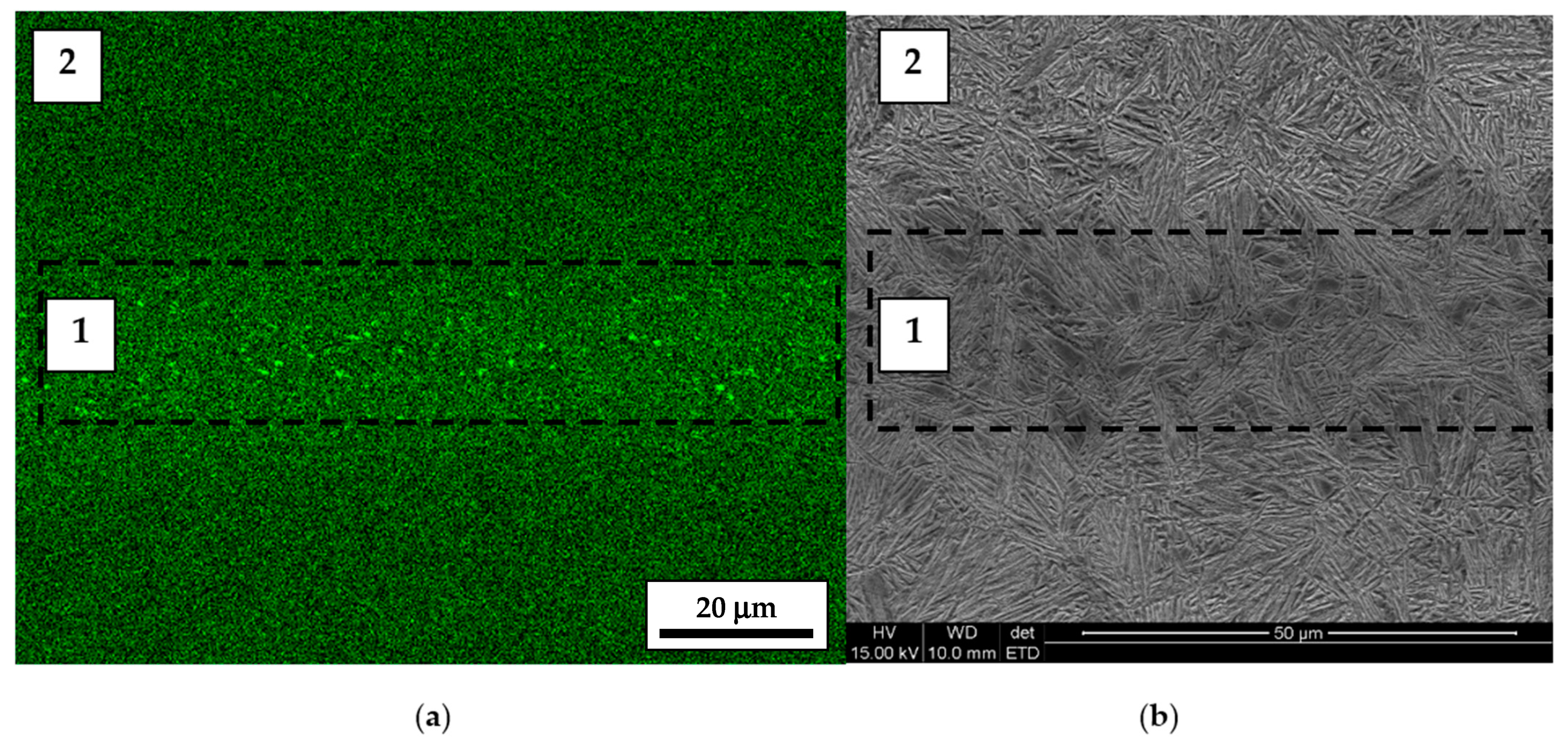 Metals 11 00658 g002