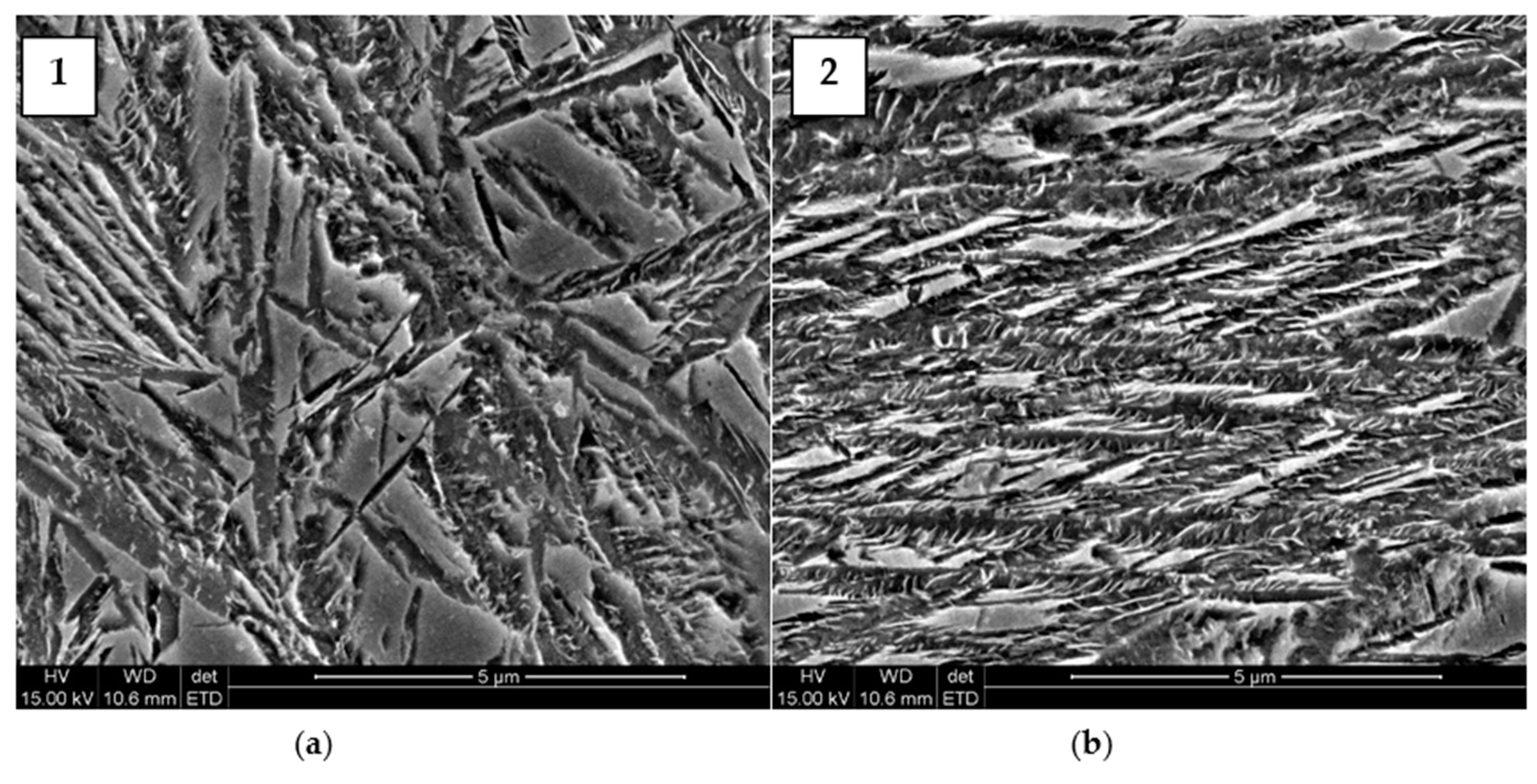 Metals 11 00658 g003