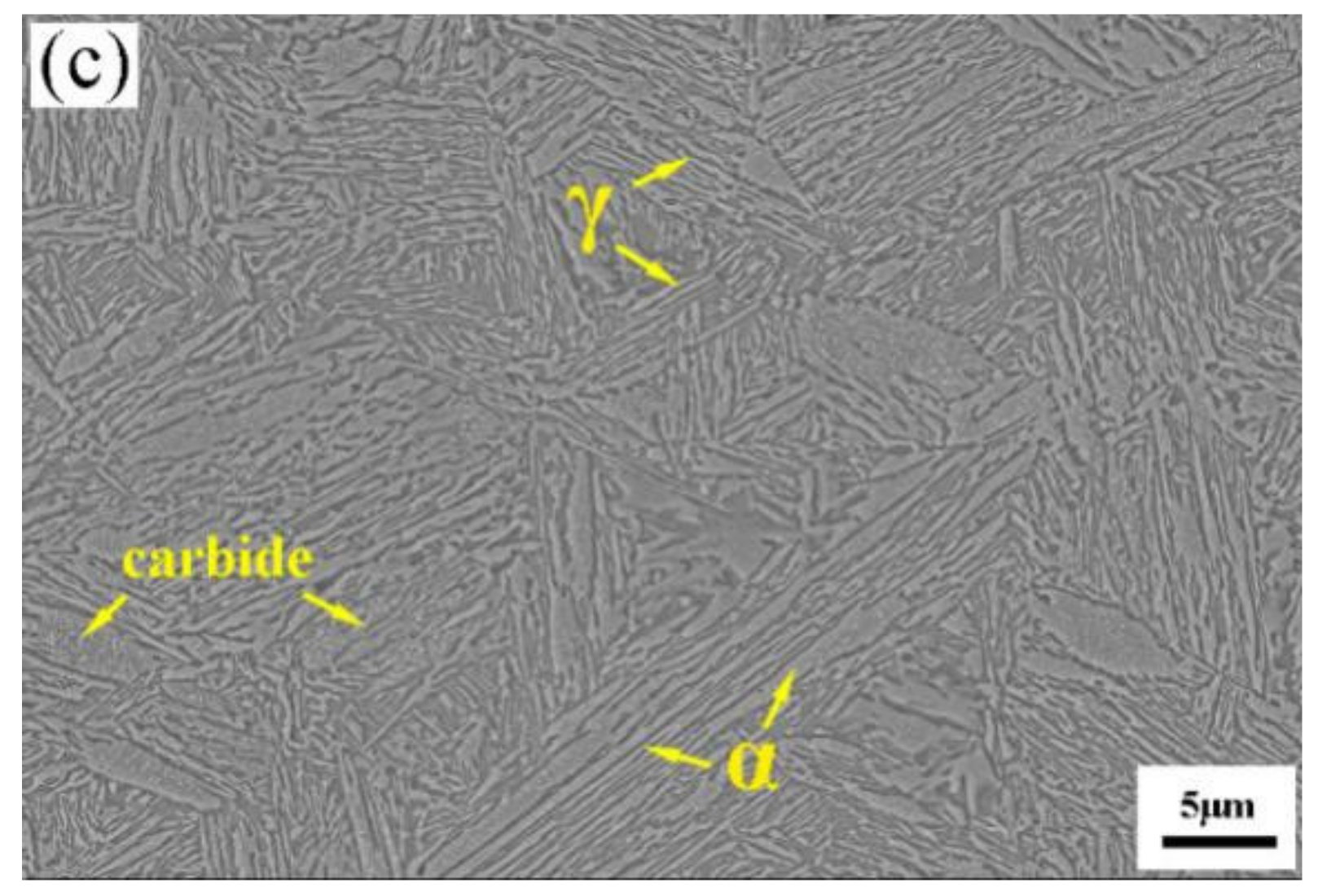 Metals 11 00667 g002b