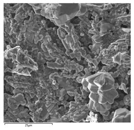 Metals 11 00670 i005