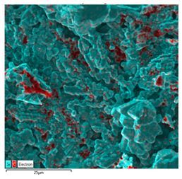 Metals 11 00670 i006