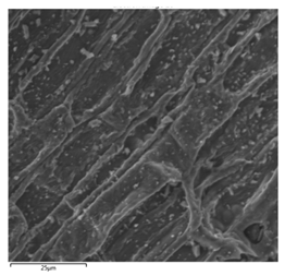 Metals 11 00670 i009