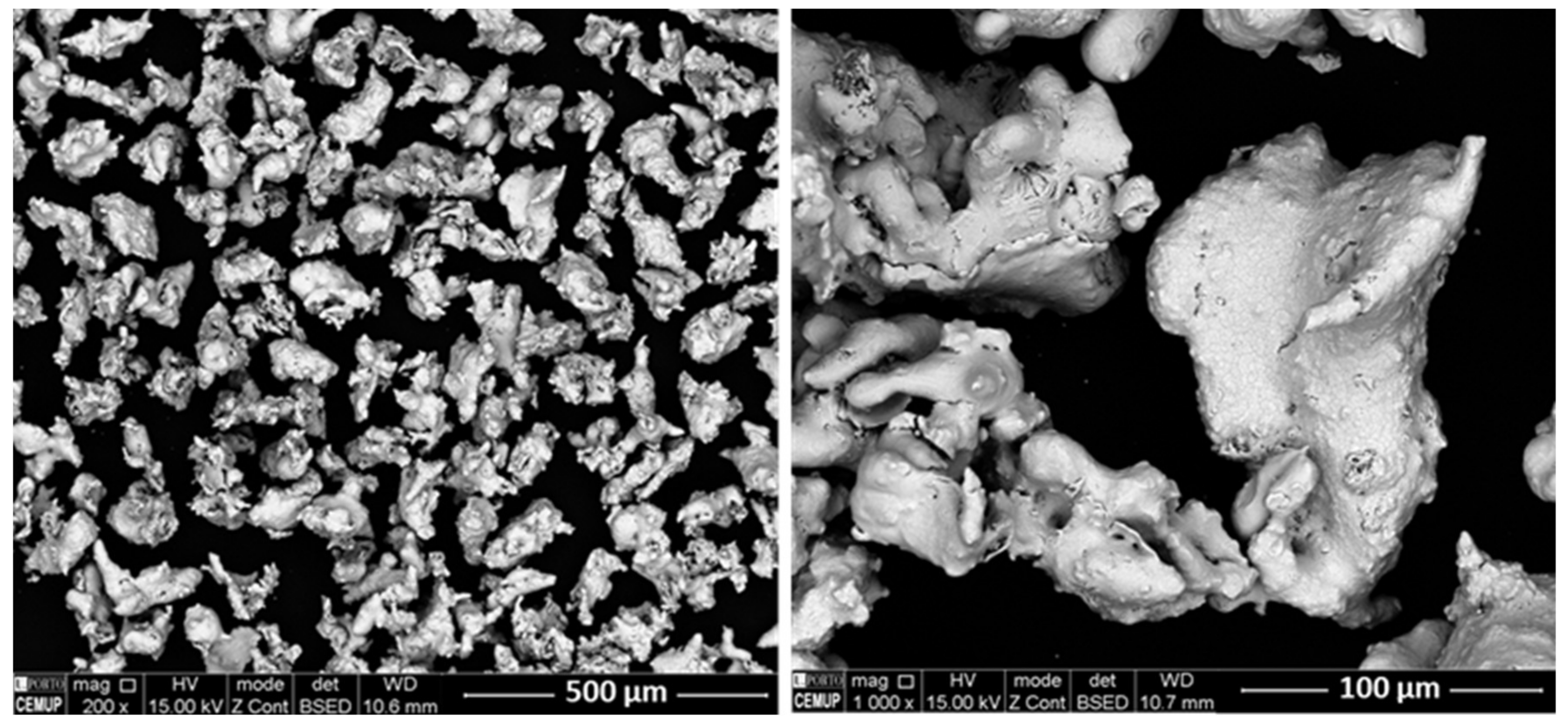 Metals 11 00672 g001