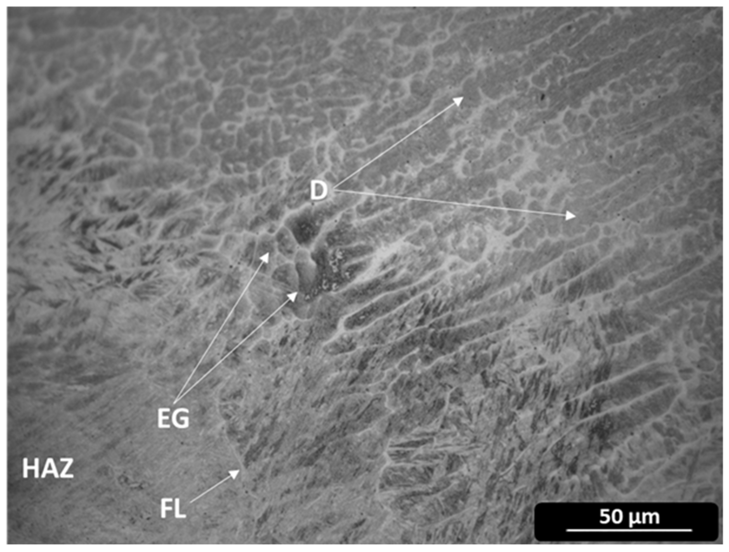 Metals 11 00672 g004