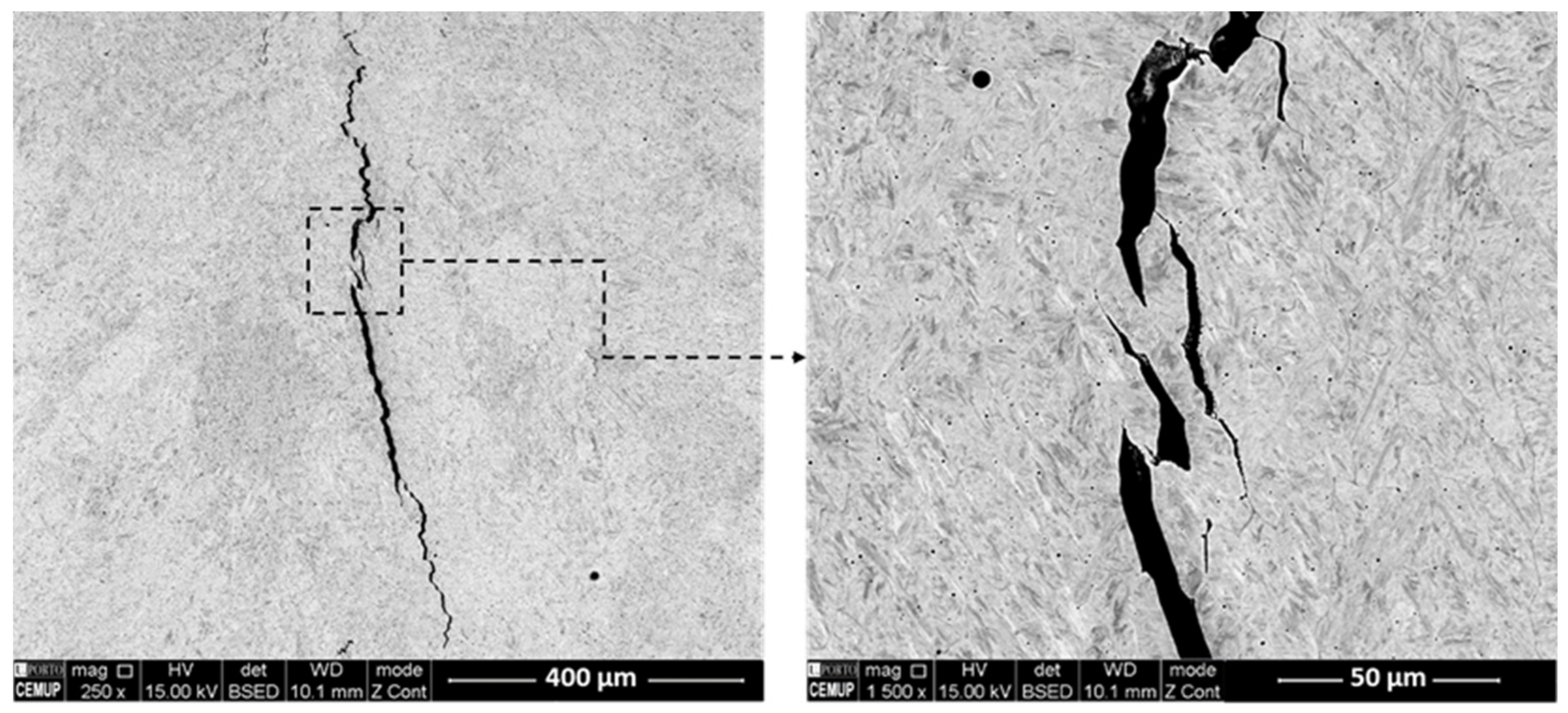 Metals 11 00672 g006