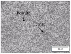 Metals 11 00682 i013