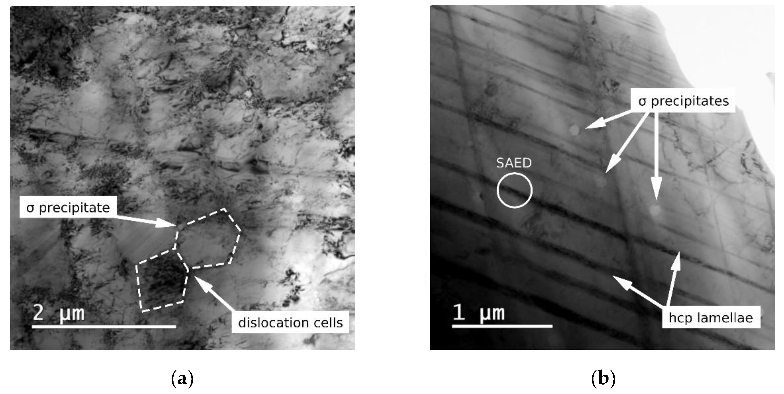 Metals 11 00687 g003a Metals 11 00687 g003a