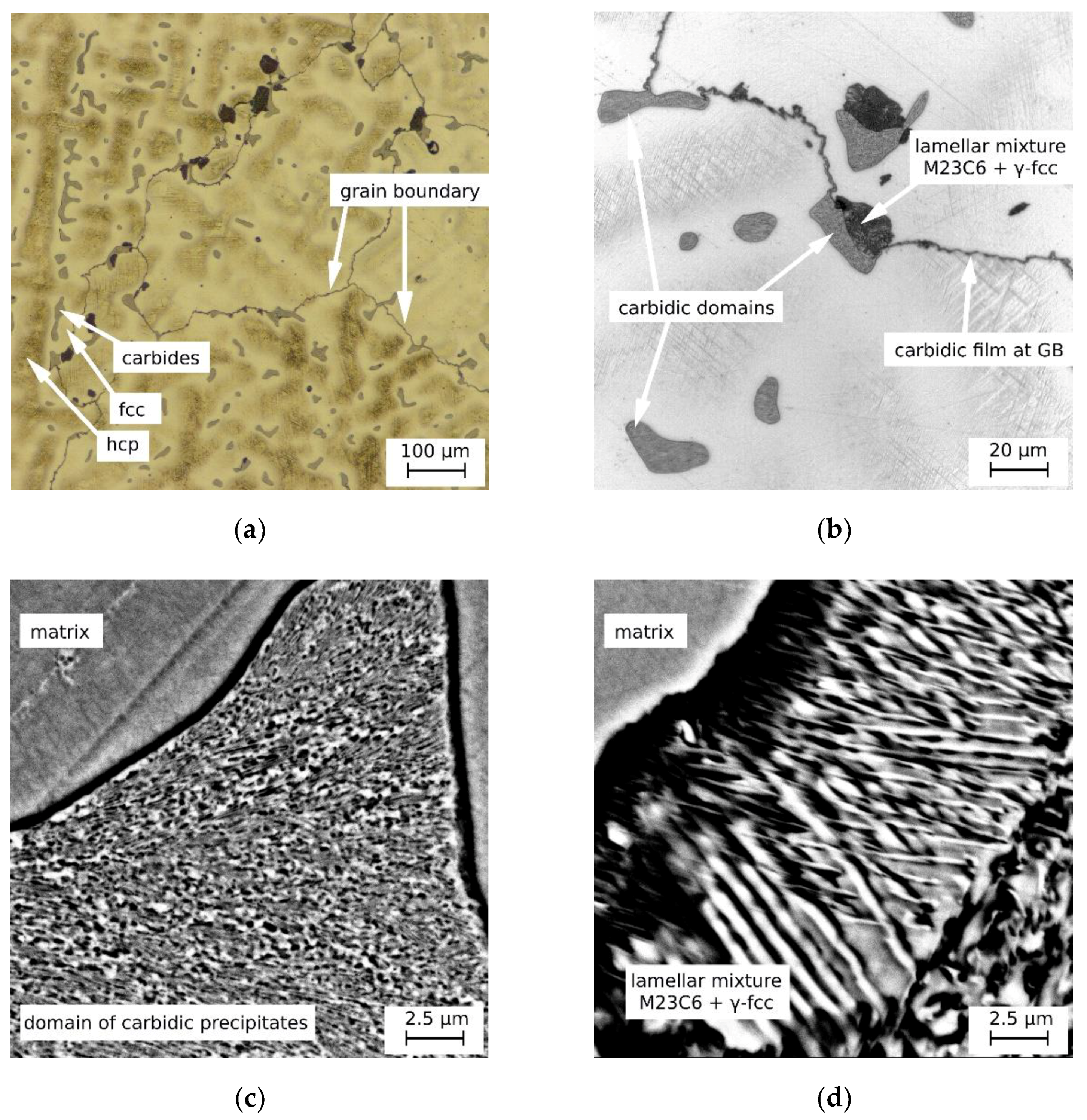 Metals 11 00687 g004 Metals 11 00687 g004