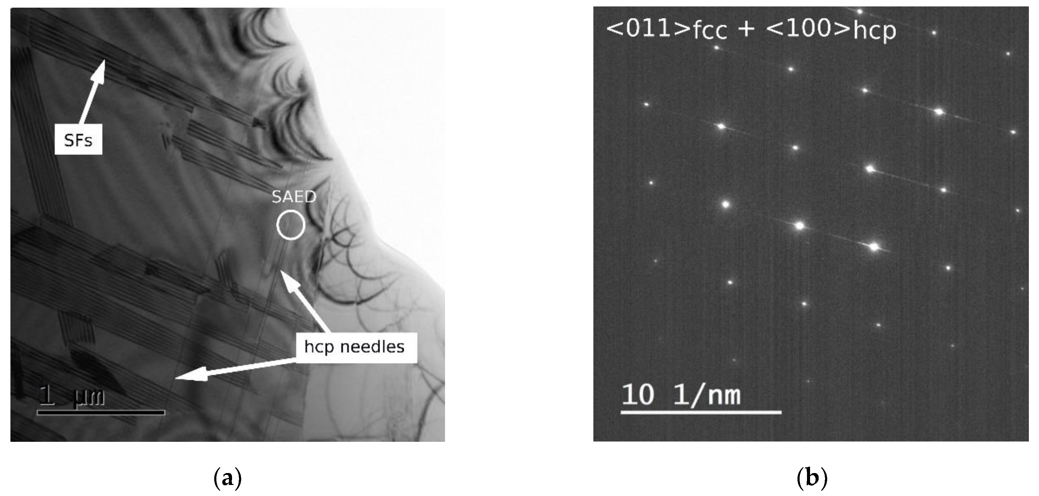 Metals 11 00687 g005a Metals 11 00687 g005a