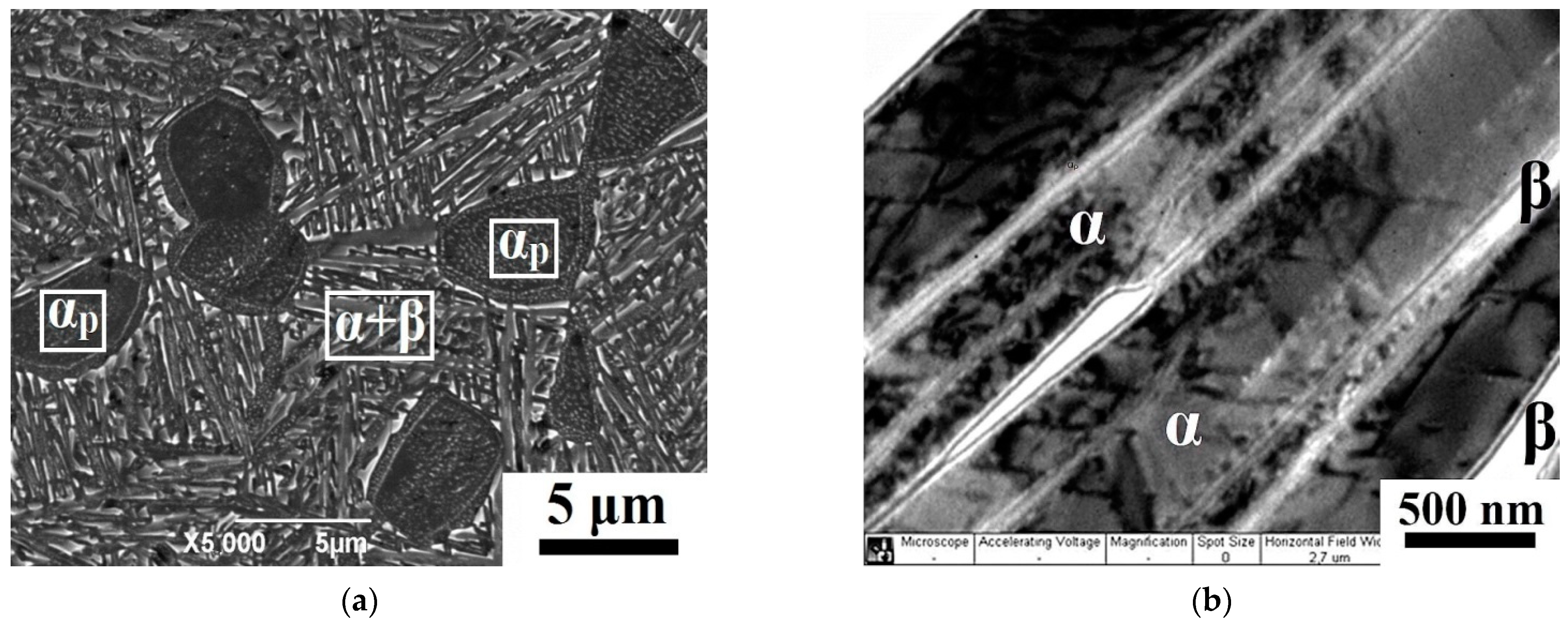 Metals 11 00696 g003