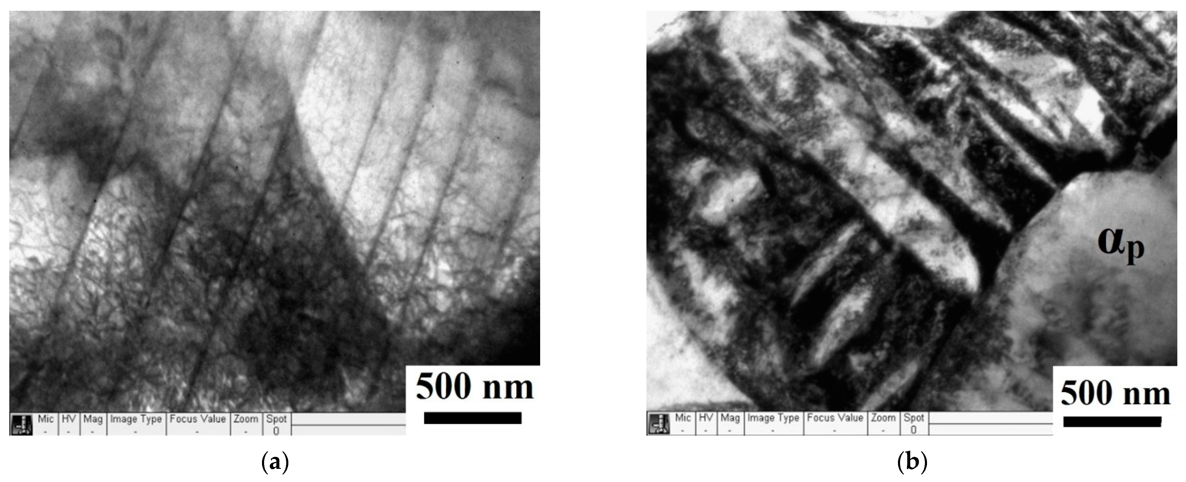 Metals 11 00696 g005