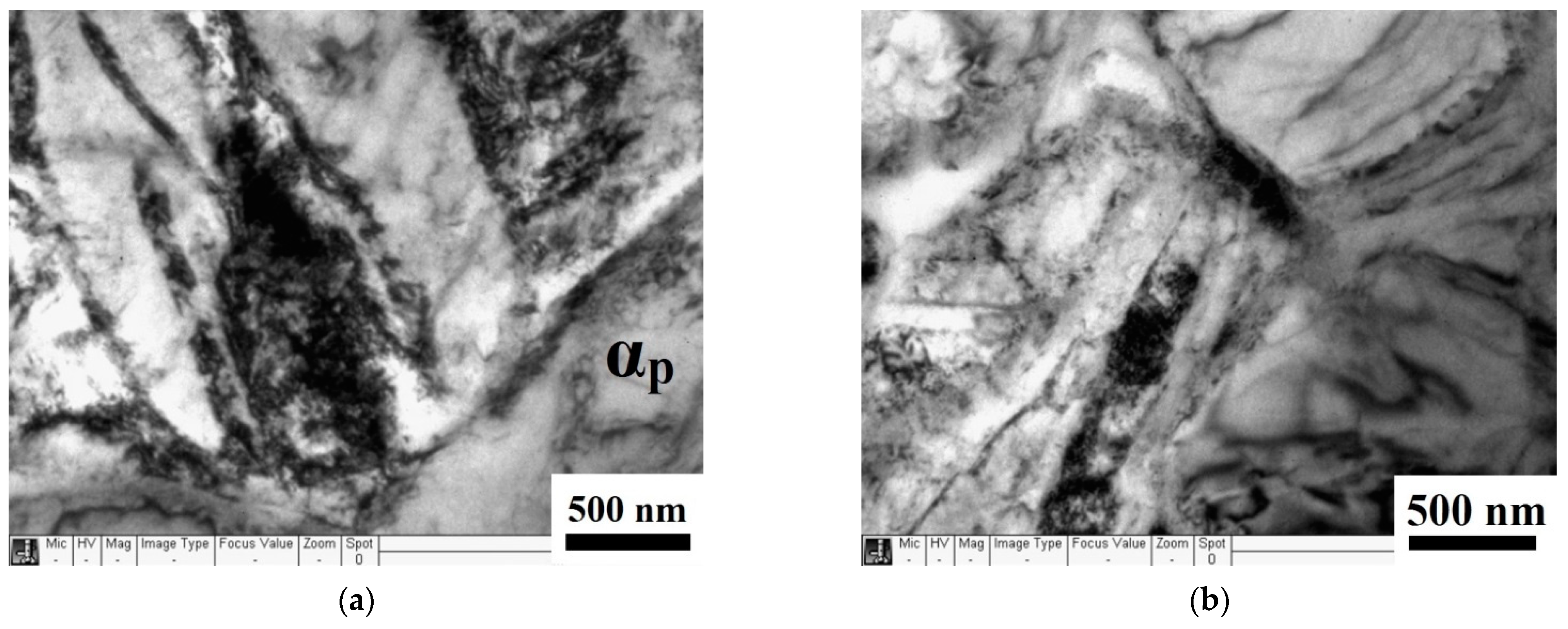 Metals 11 00696 g007