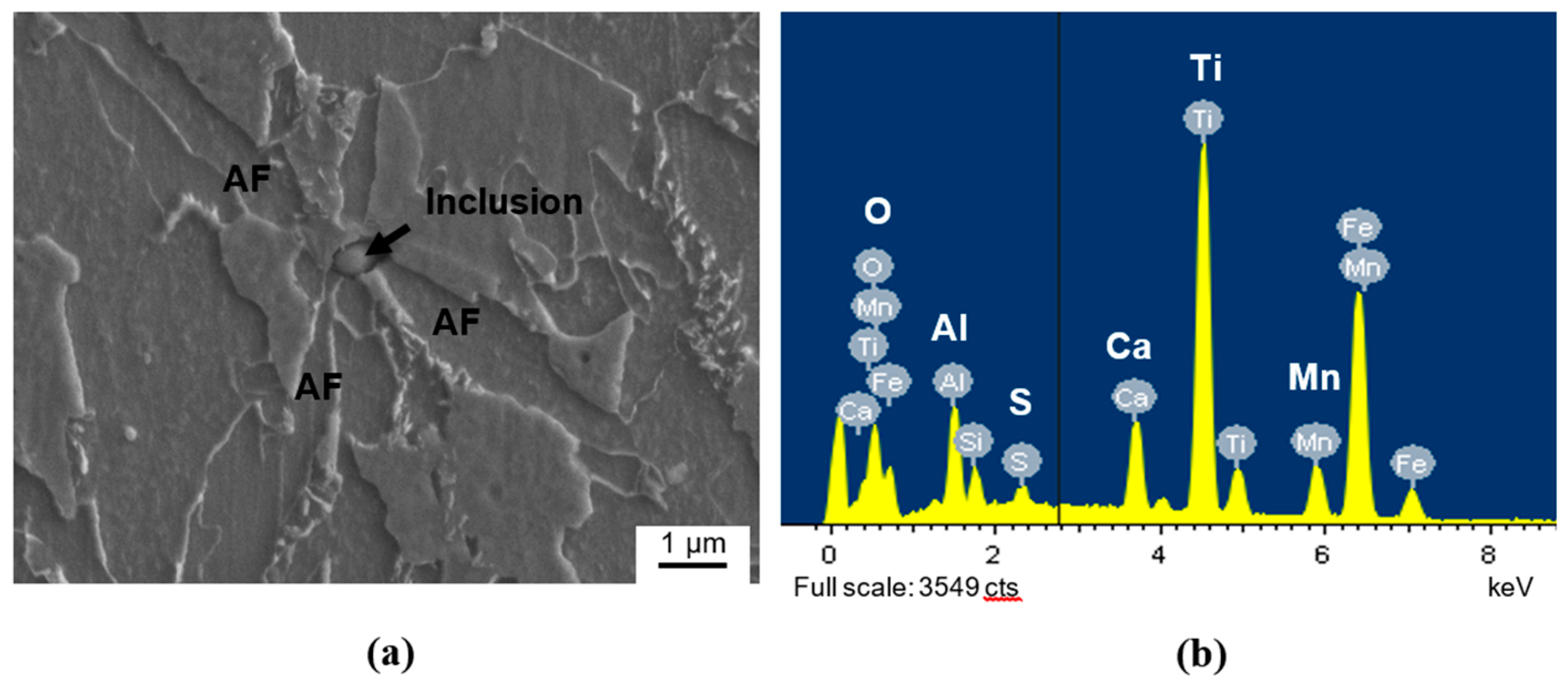 Metals 11 00699 g003