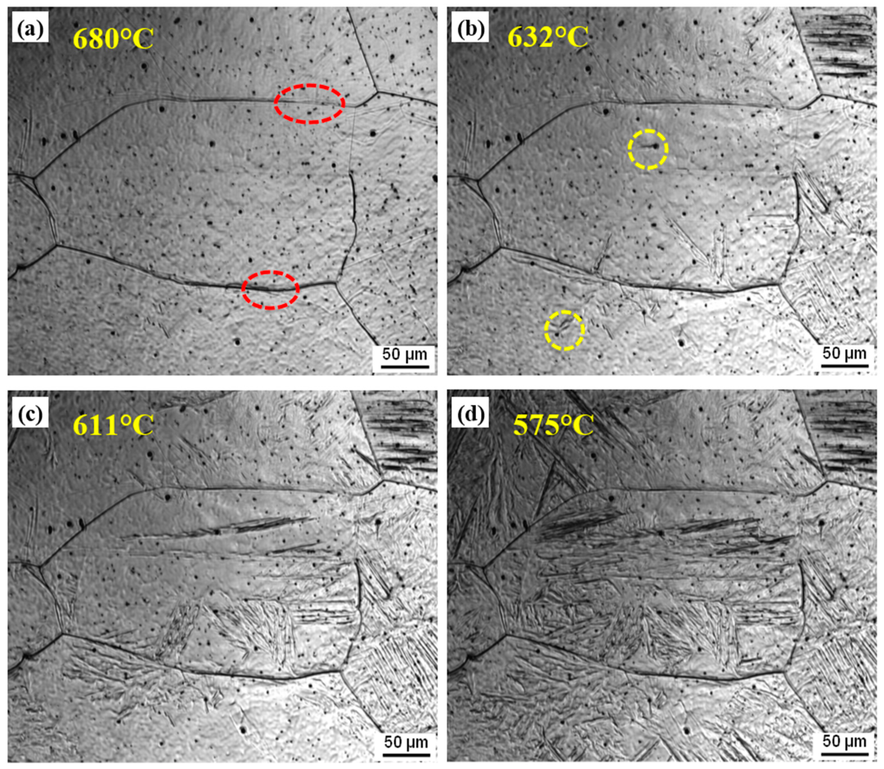 Metals 11 00699 g004