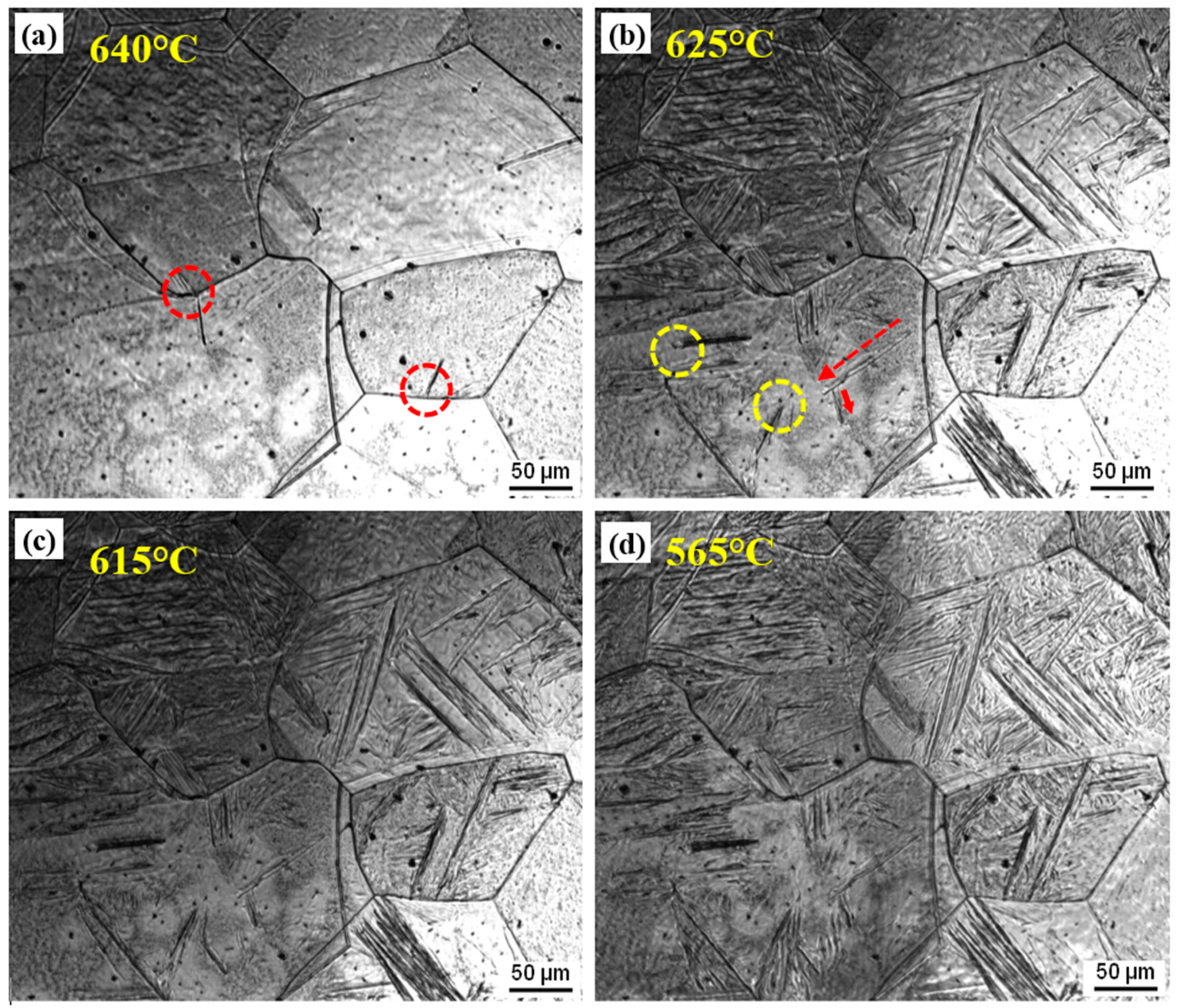 Metals 11 00699 g005