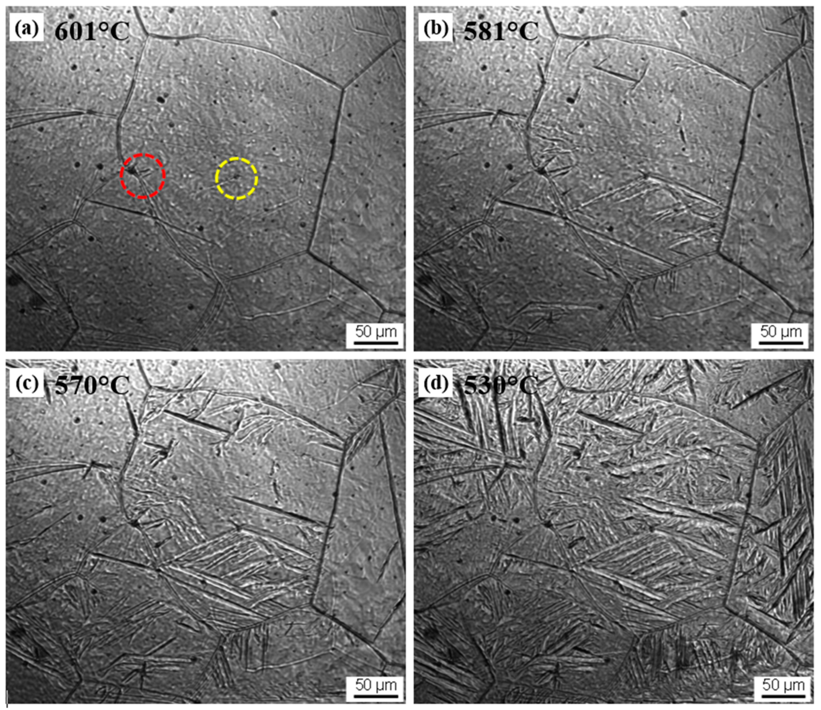 Metals 11 00699 g006