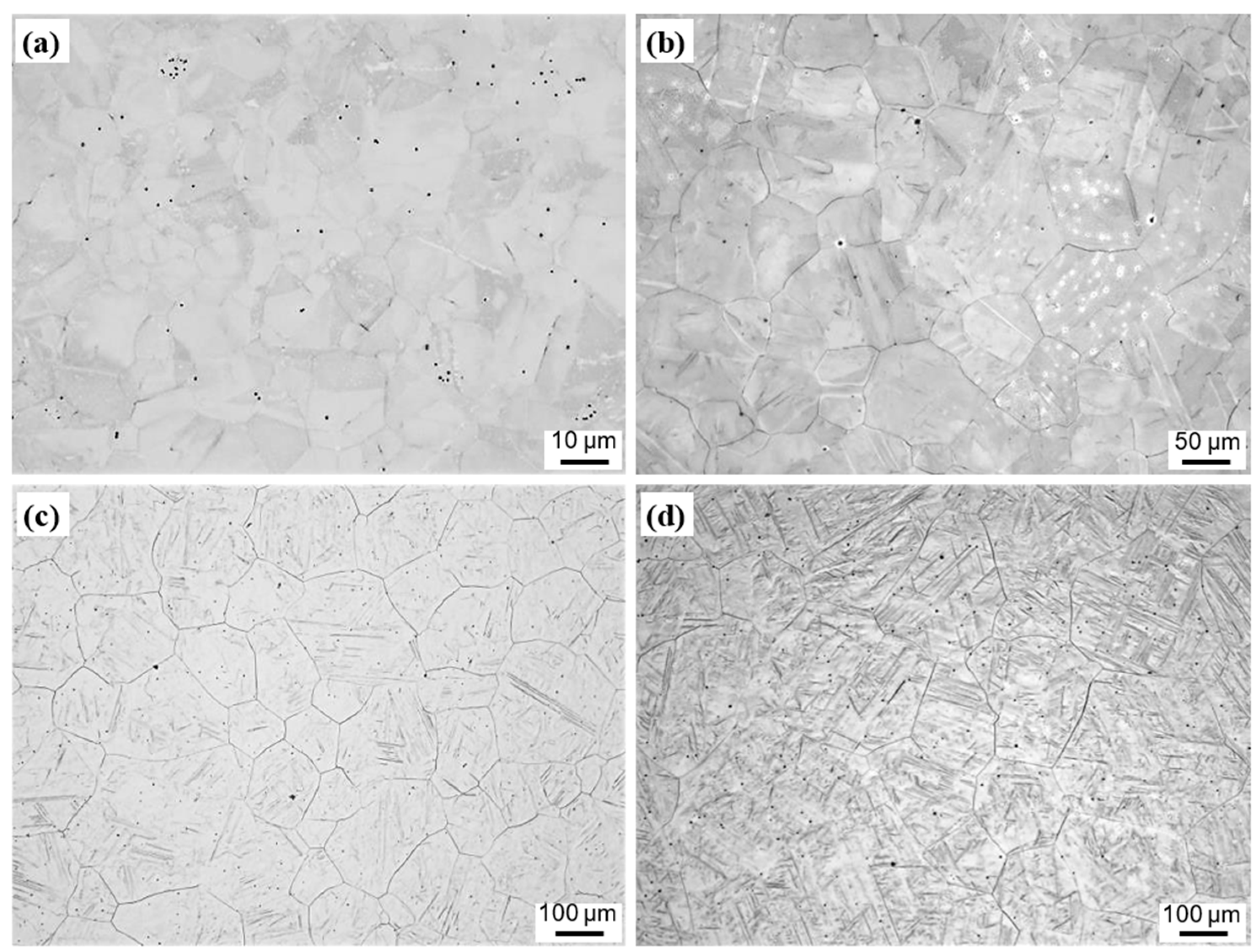 Metals 11 00699 g007