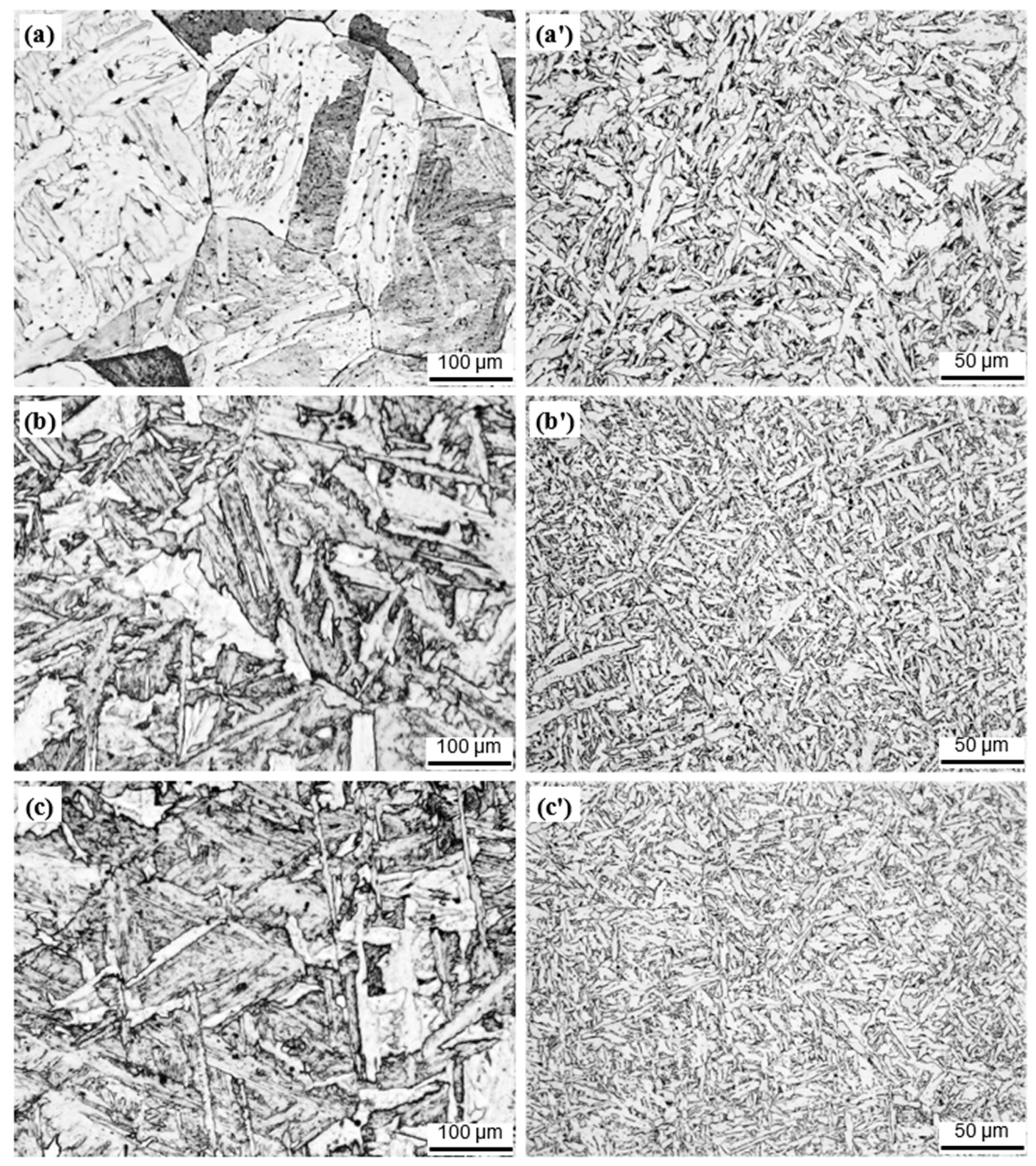 Metals 11 00699 g008