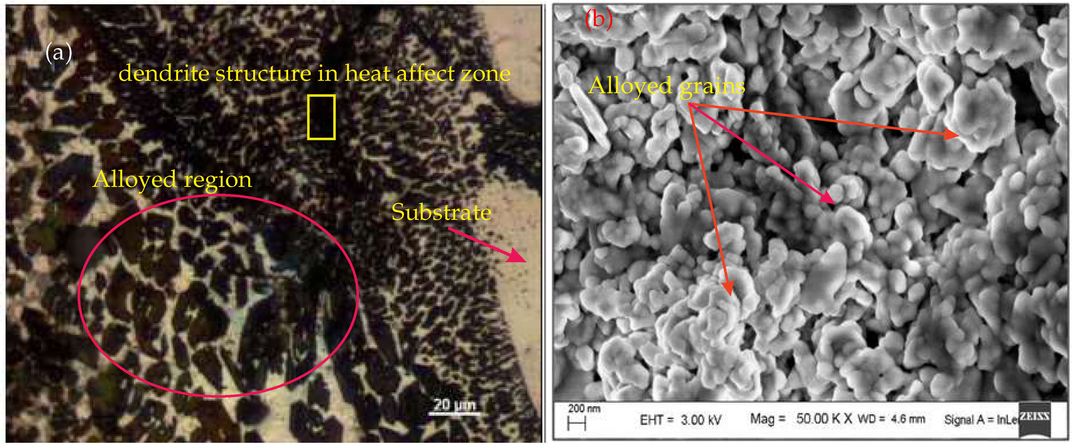 Metals 11 00712 g005