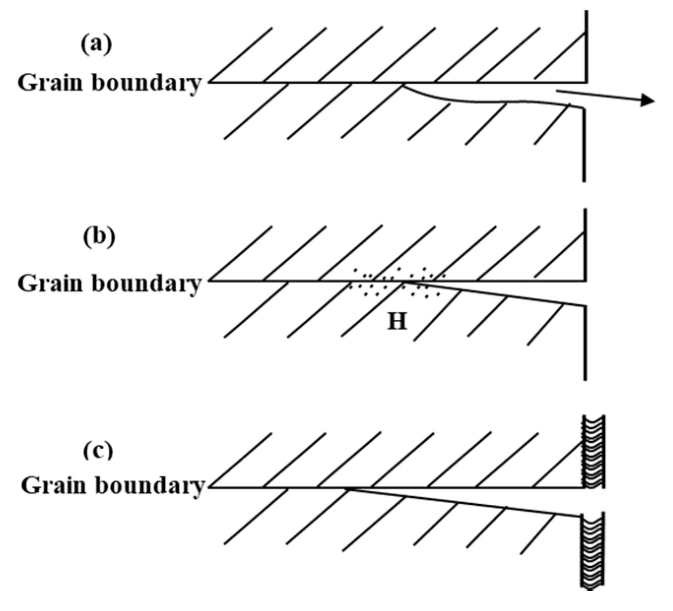 Metals 11 00718 g007