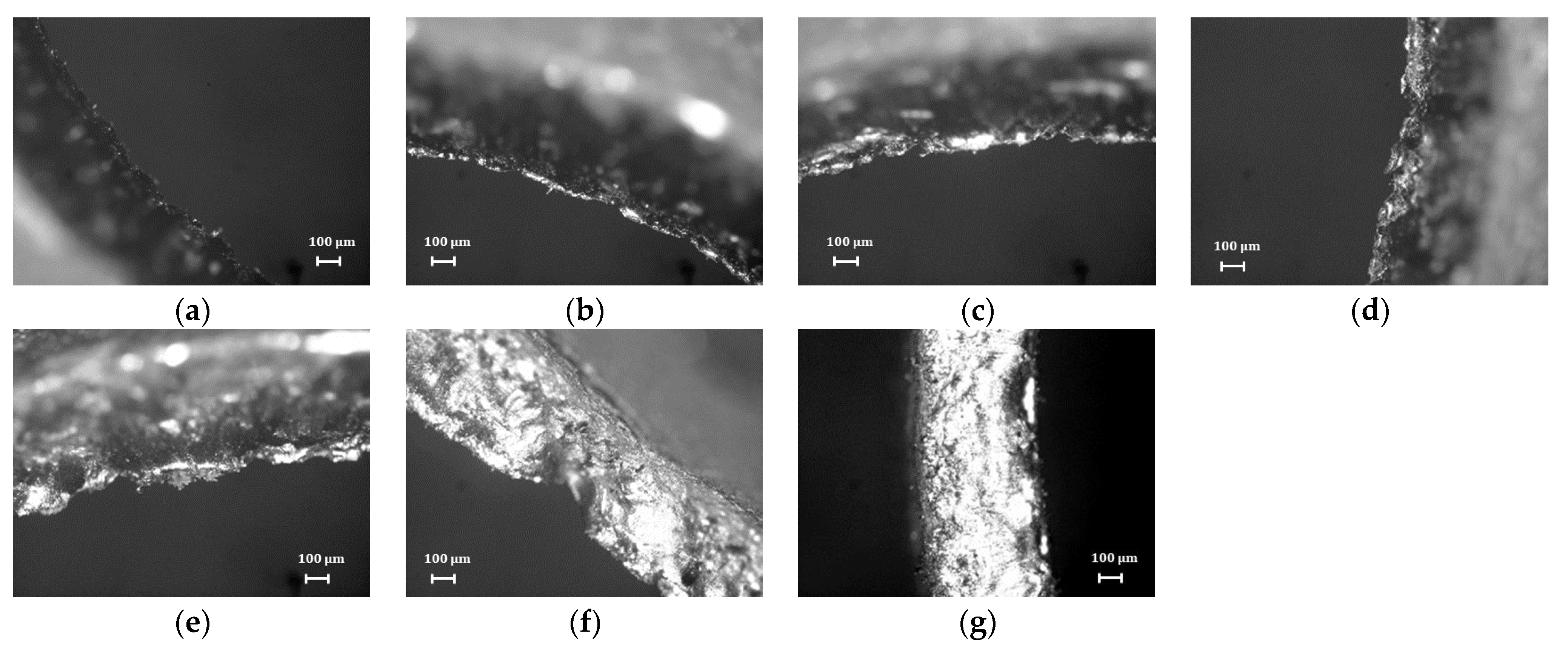 Metals 11 00721 g010