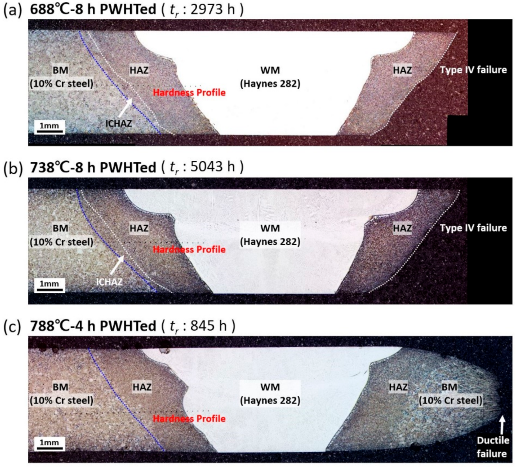 Metals 11 00726 g003