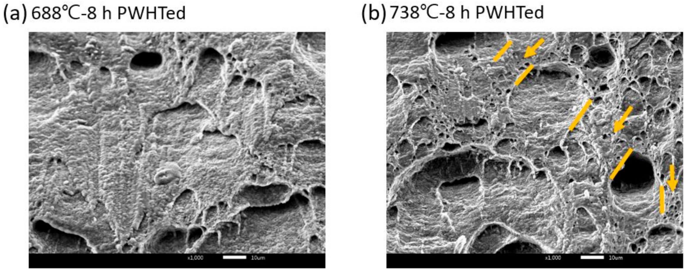 Metals 11 00726 g011