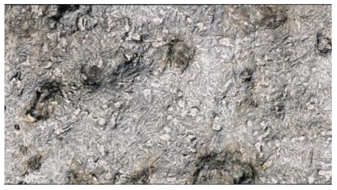 Metals 11 00733 g011