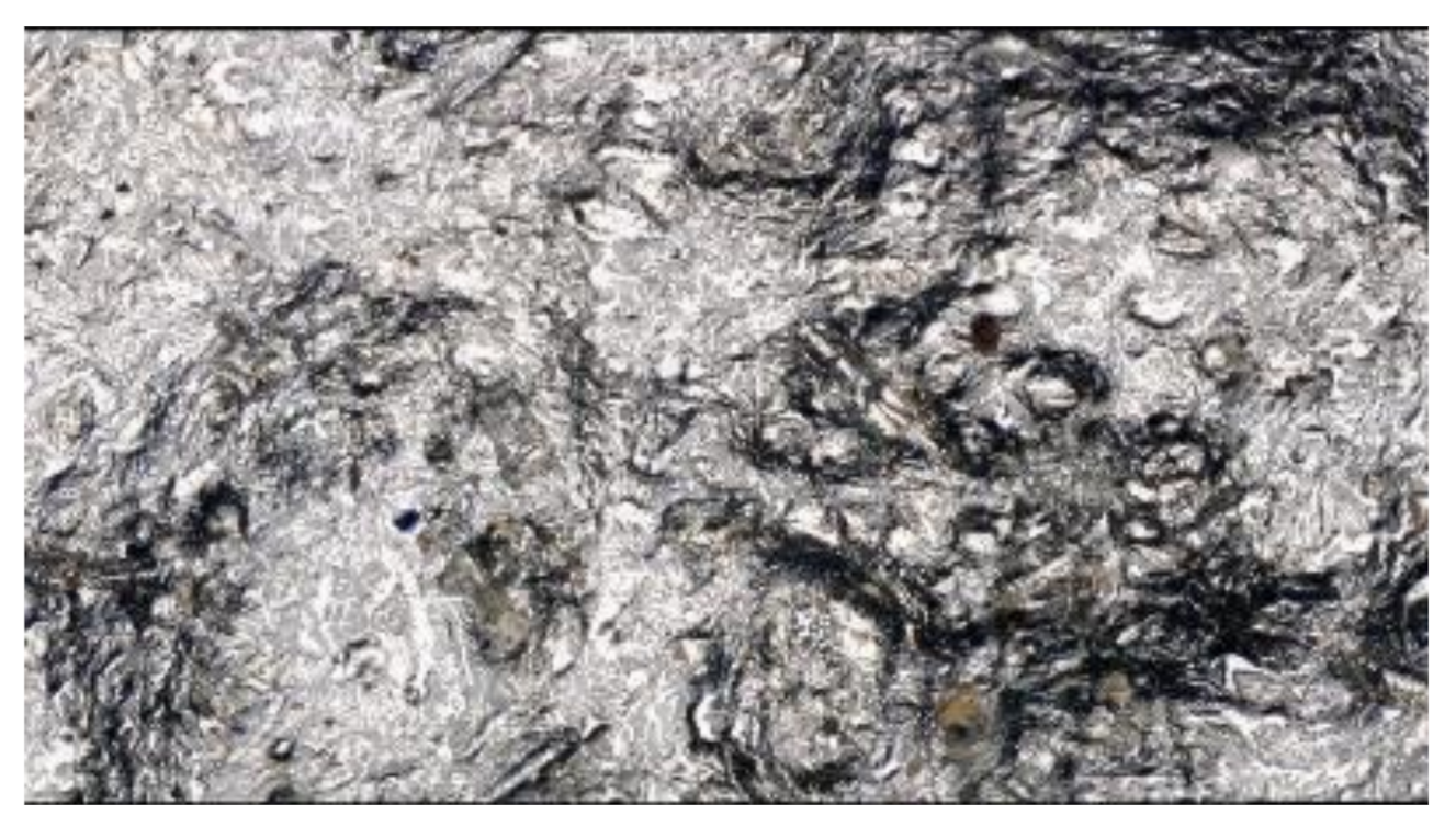 Metals 11 00733 g016