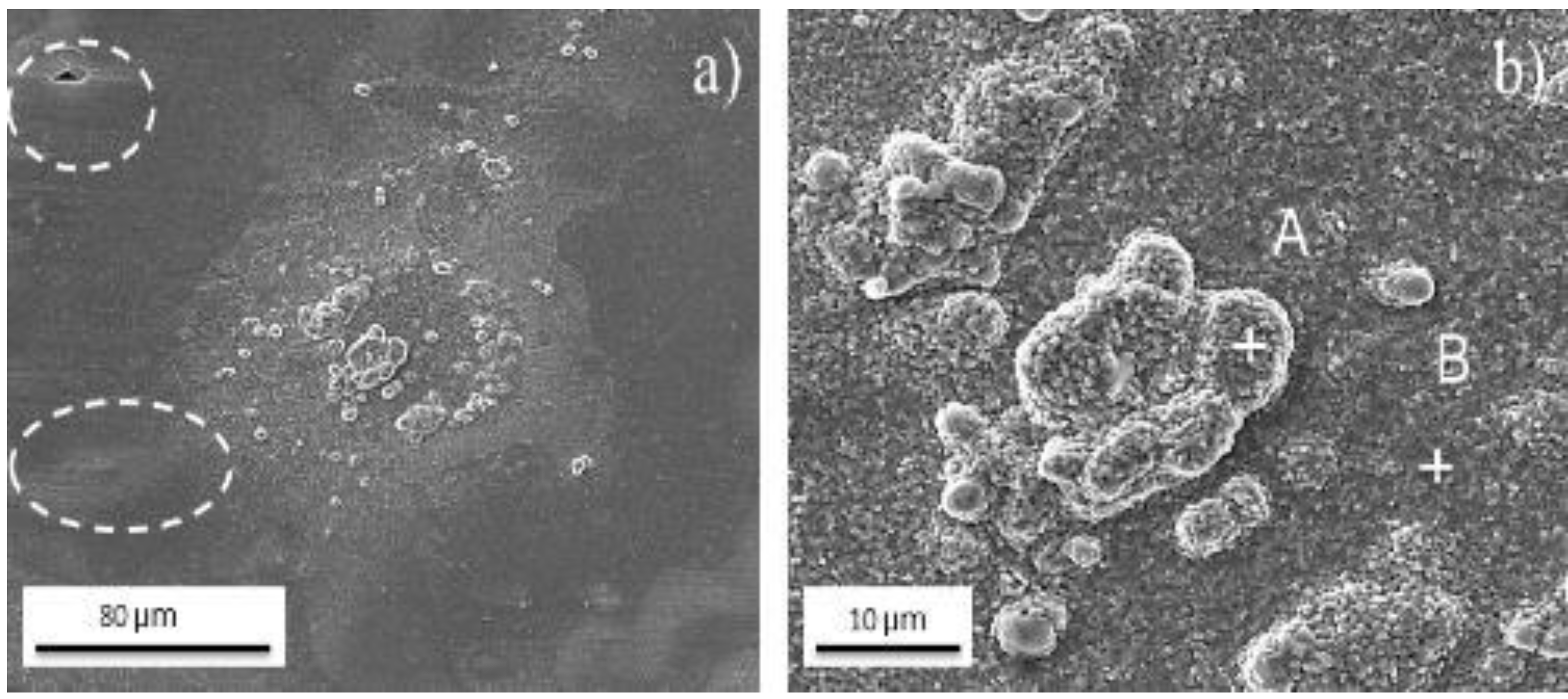 Metals 11 00746 g005 Metals 11 00746 g005