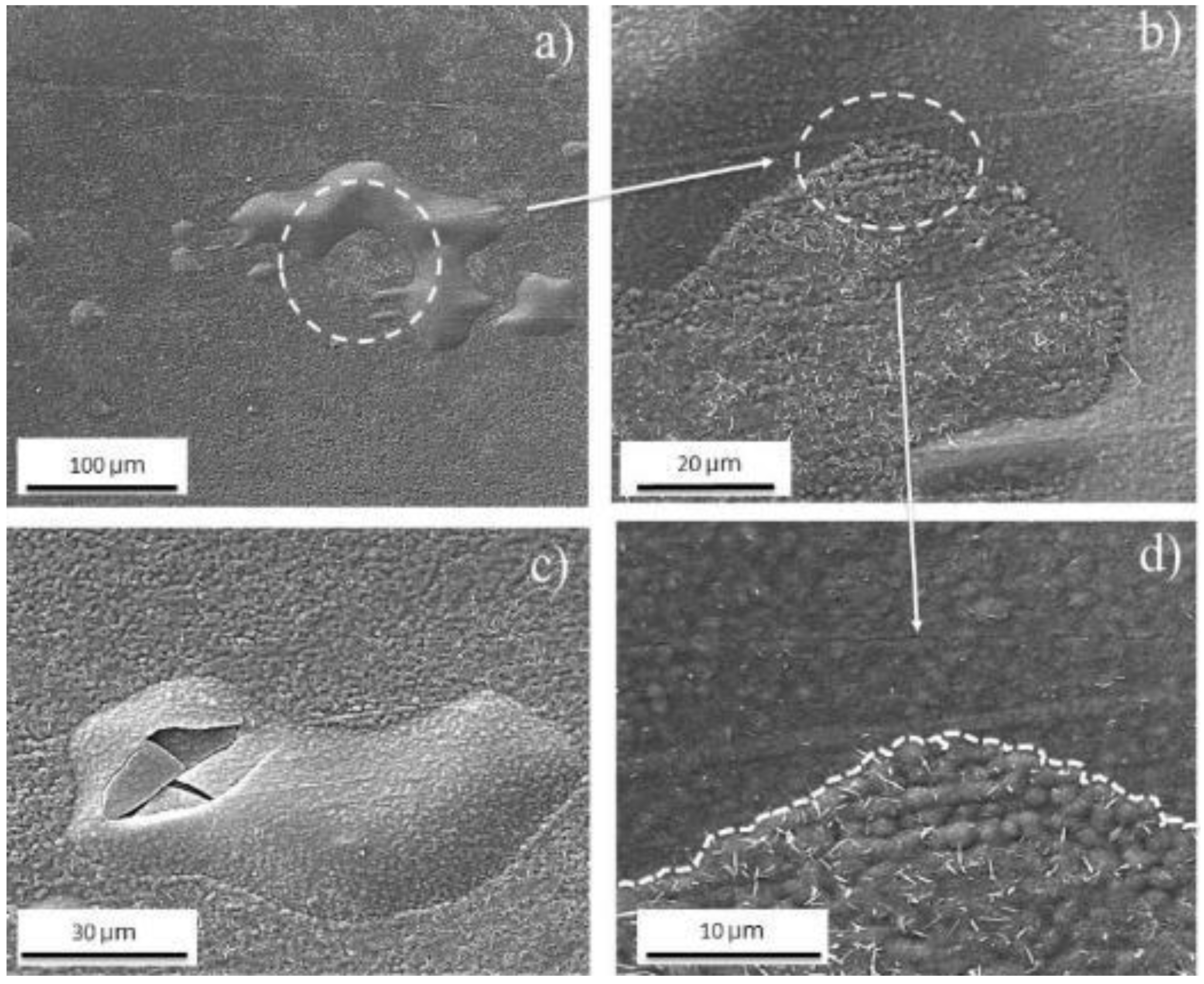 Metals 11 00746 g009 Metals 11 00746 g009