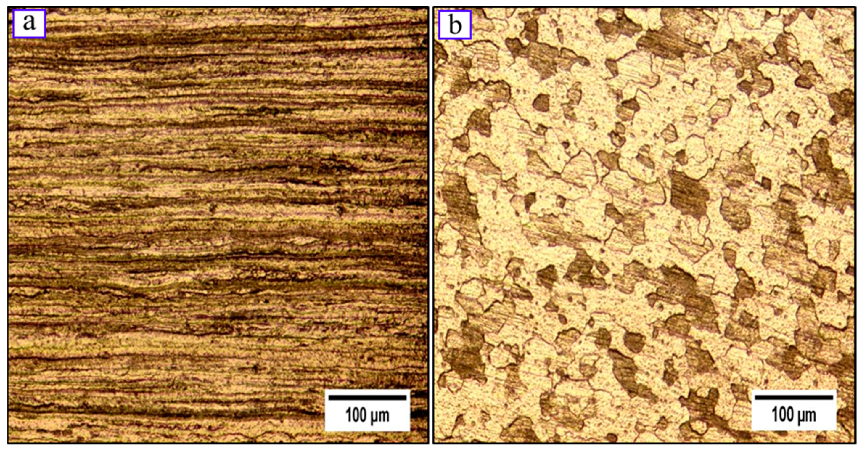 Metals 11 00749 g002