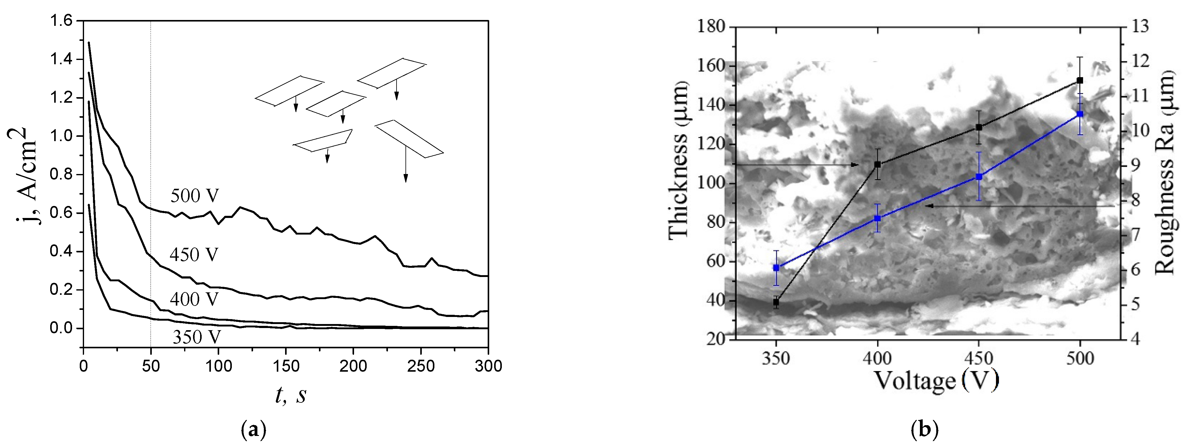 Metals 11 00754 g002