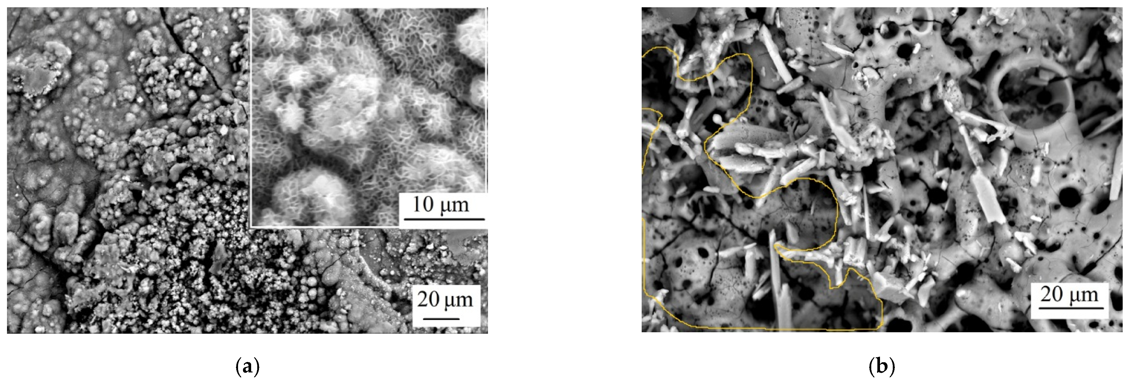 Metals 11 00754 g011